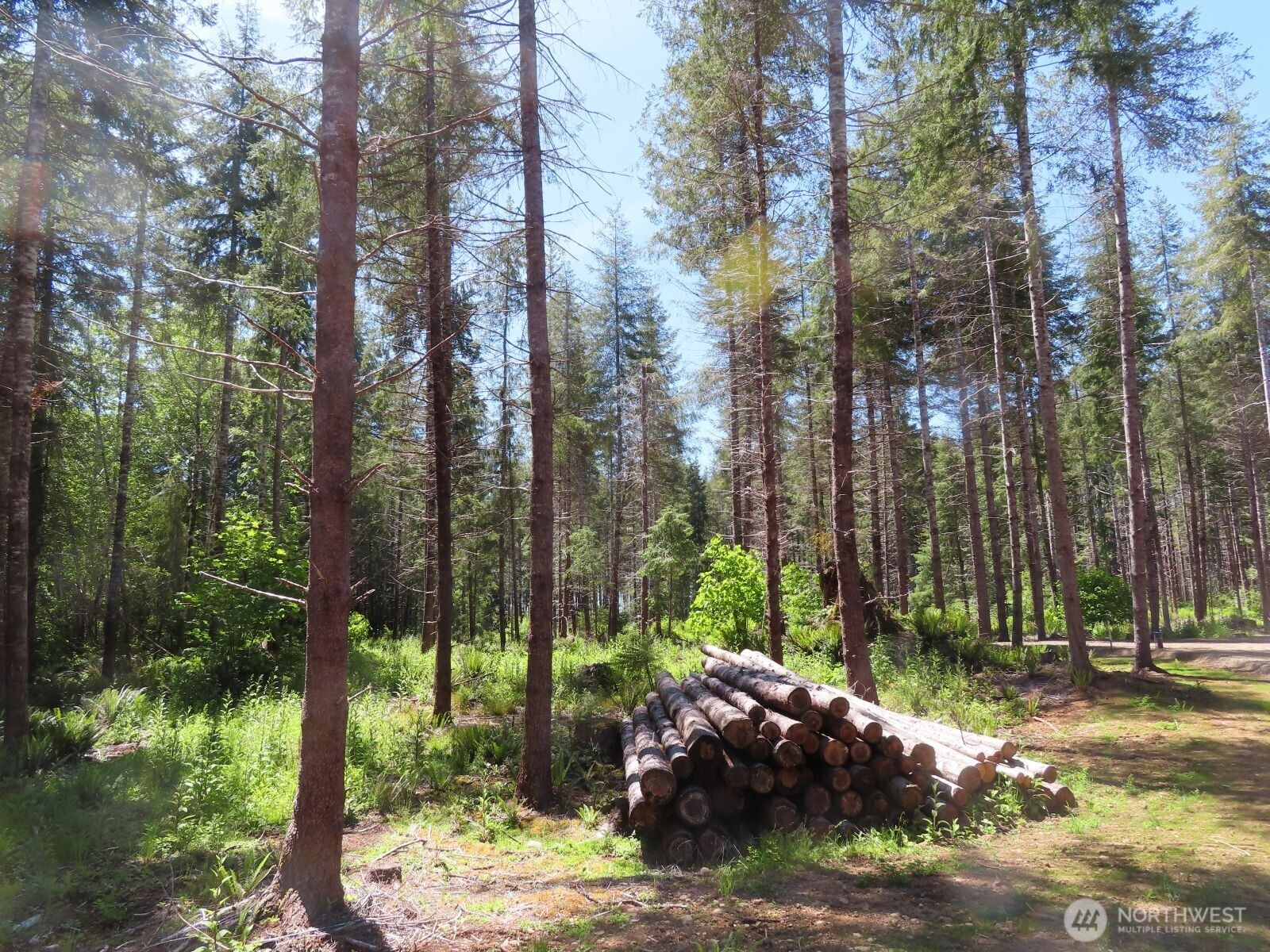 1515 Kirkpatrick Road Property Photo 29