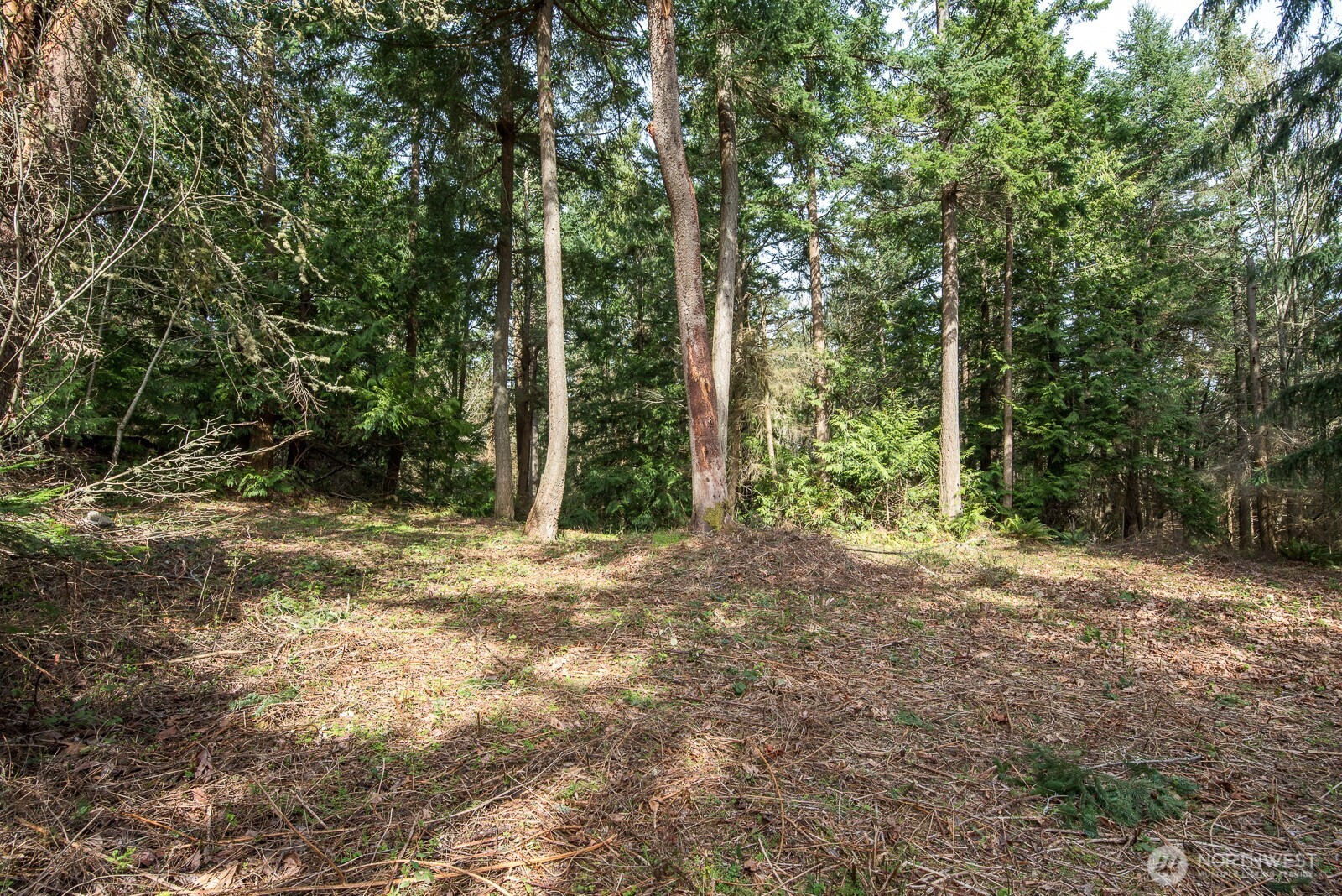 0 Nhn Hummingbird Lane Property Photo 8