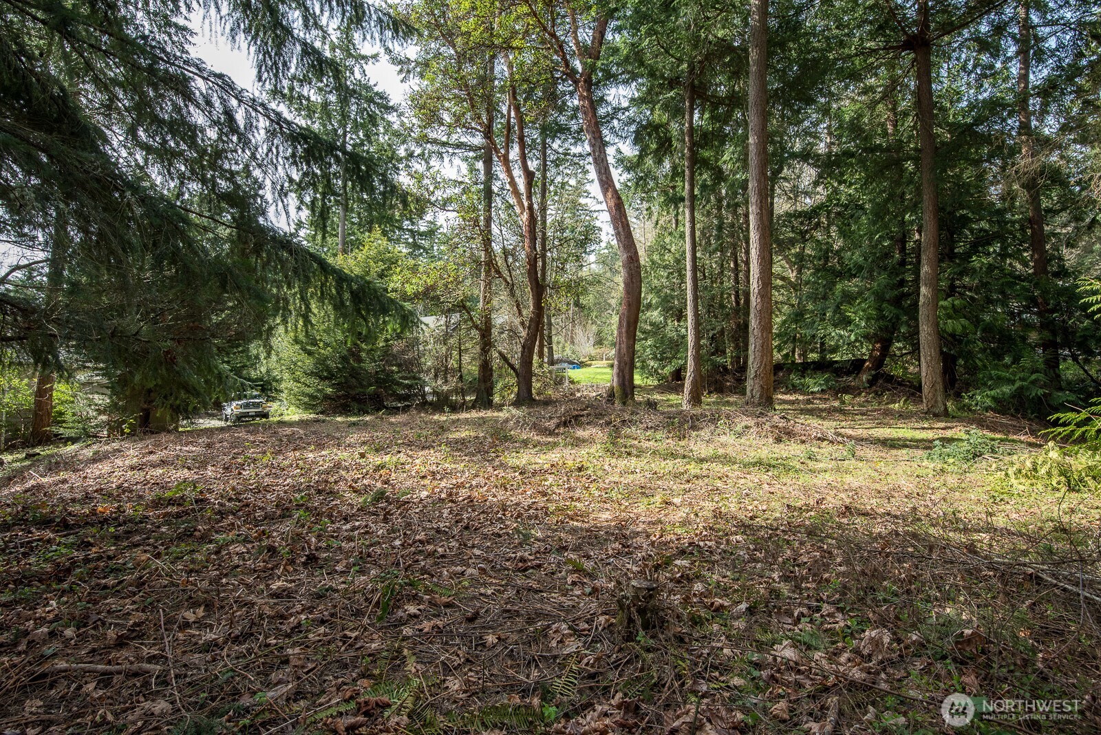 0 Nhn Hummingbird Lane Property Photo 9