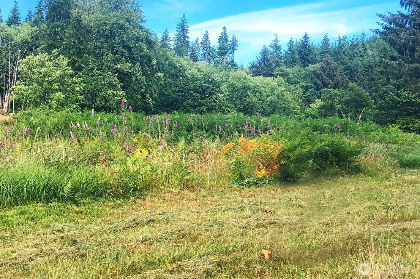 0 South Valley Road Lot 5 Property Photo 1