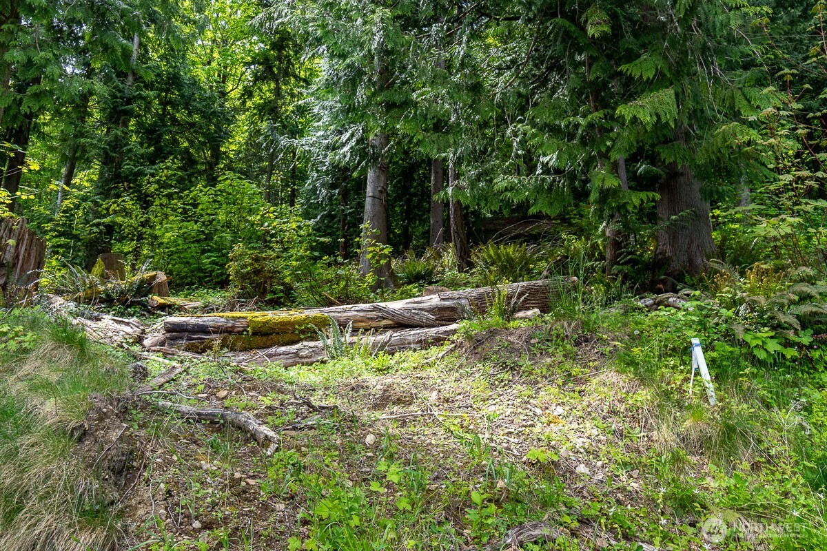0 W Alder Road Property Photo 1
