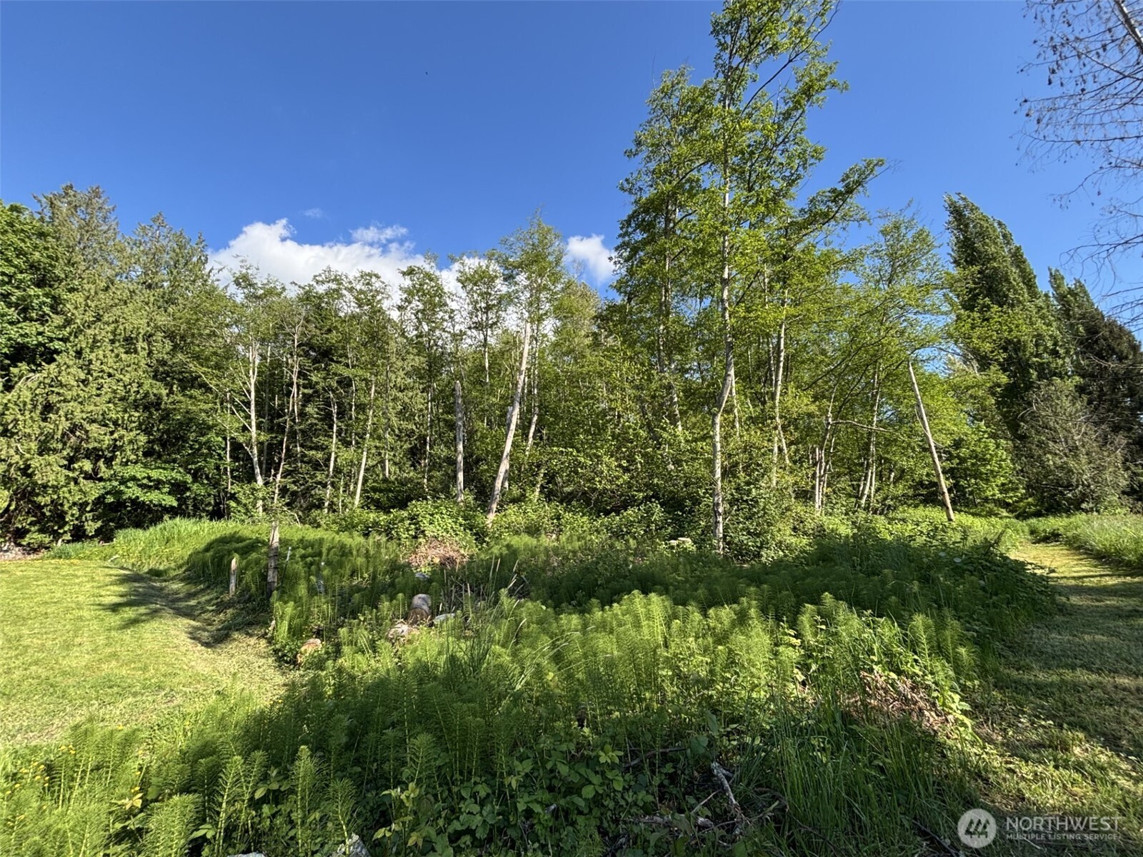 0 Anderson Road Property Photo