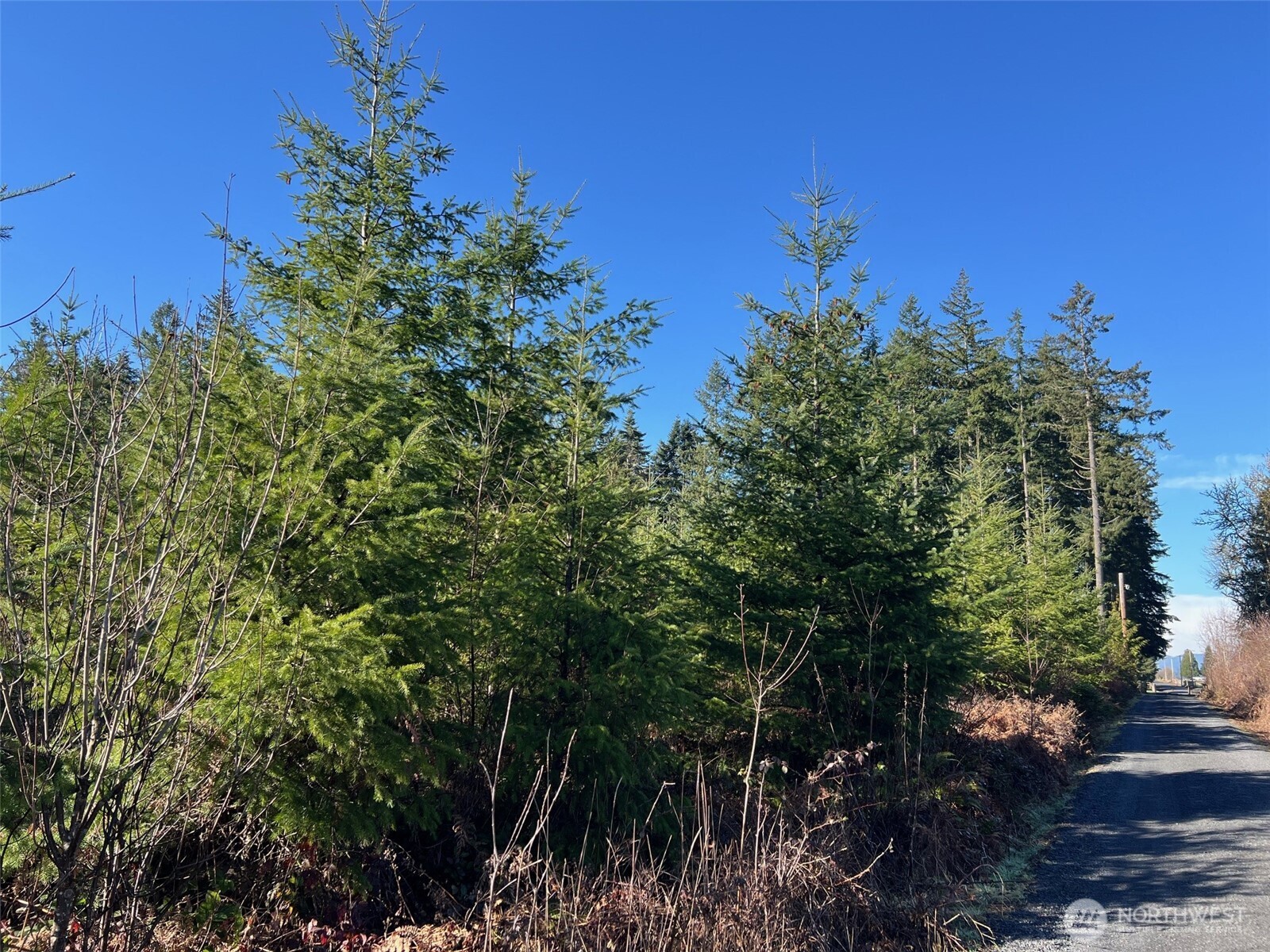 0 Winter Road Property Photo 1