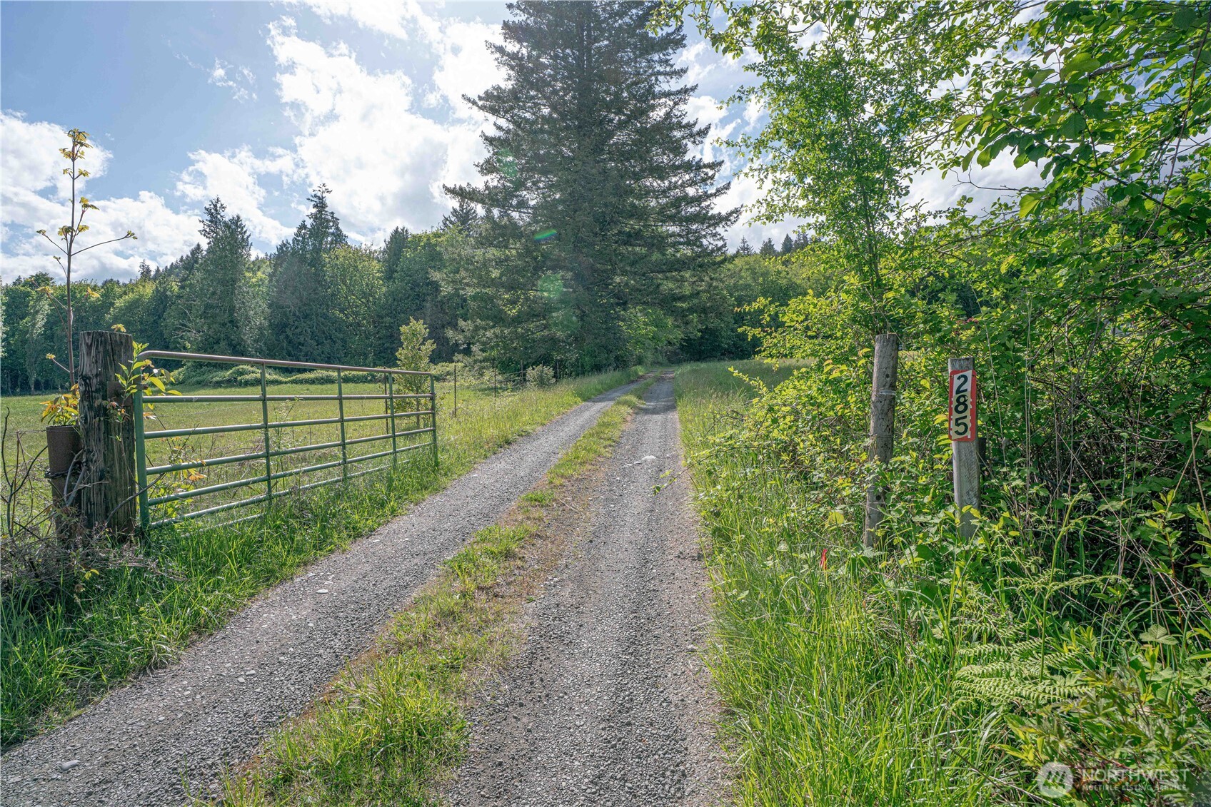 285 Pete Beck Road Property Photo 8