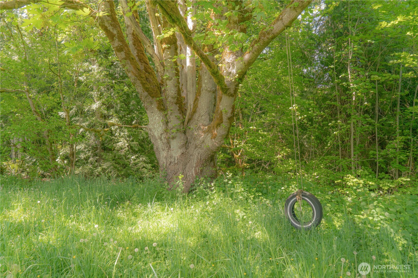 285 Pete Beck Road Property Photo 29