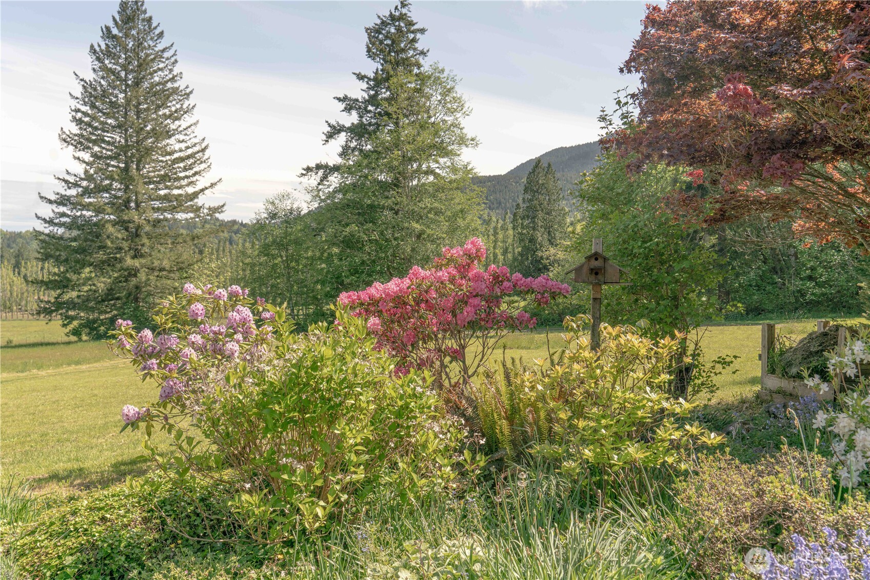 285 Pete Beck Road Property Photo 34