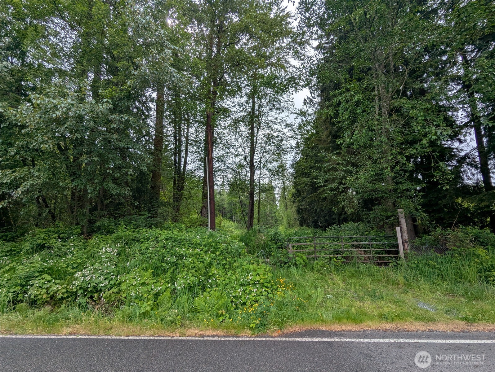 21916 123rd Avenue Property Photo