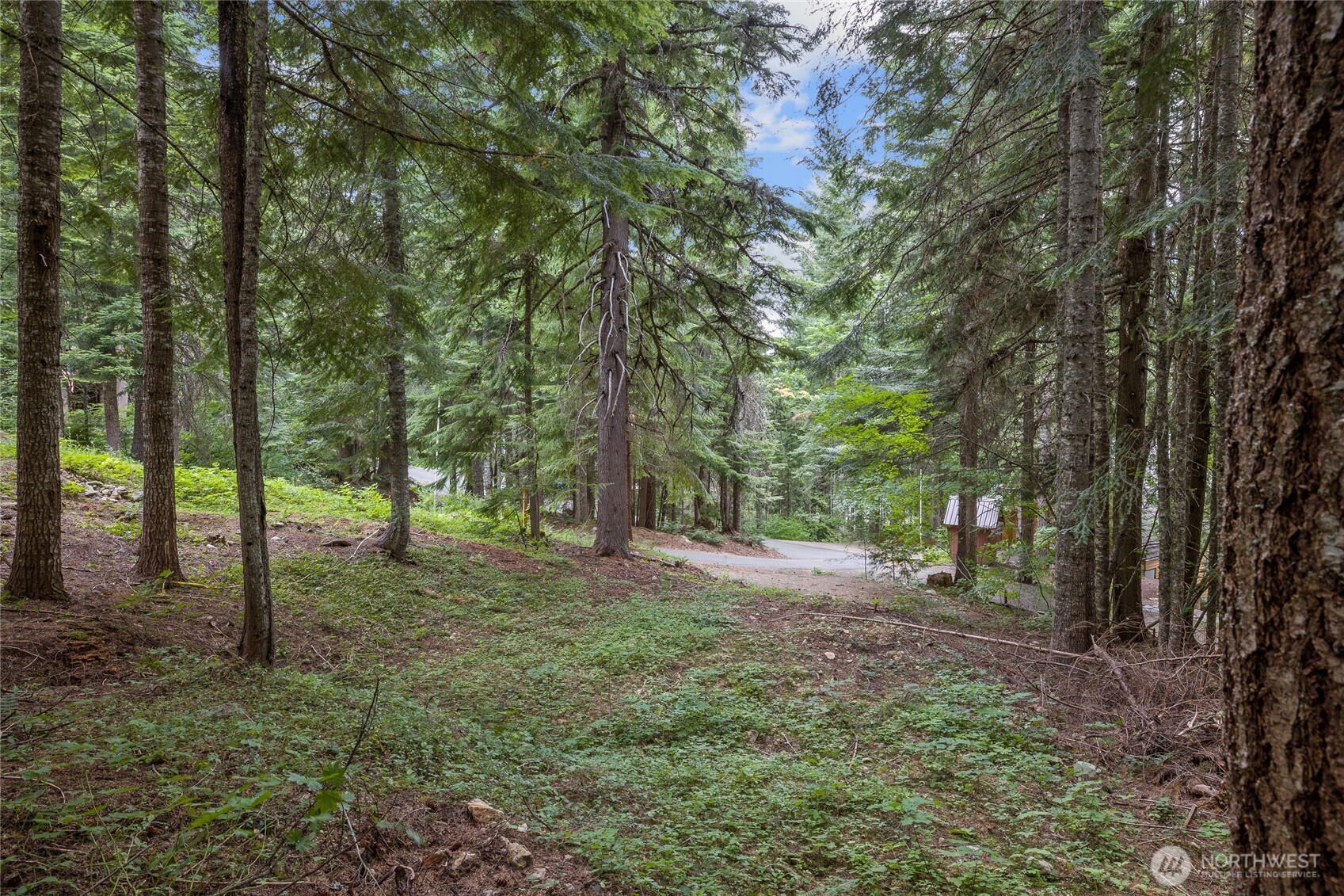 180 Alpine Lane Property Photo 1
