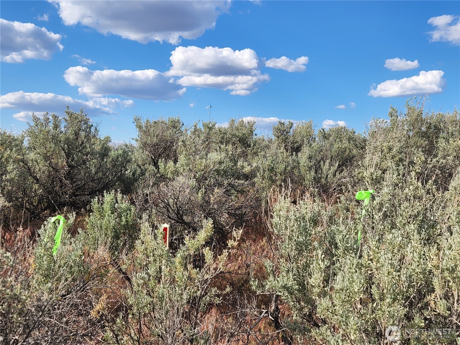 344 Oatman (lots 15 & 7) Place Property Photo 30