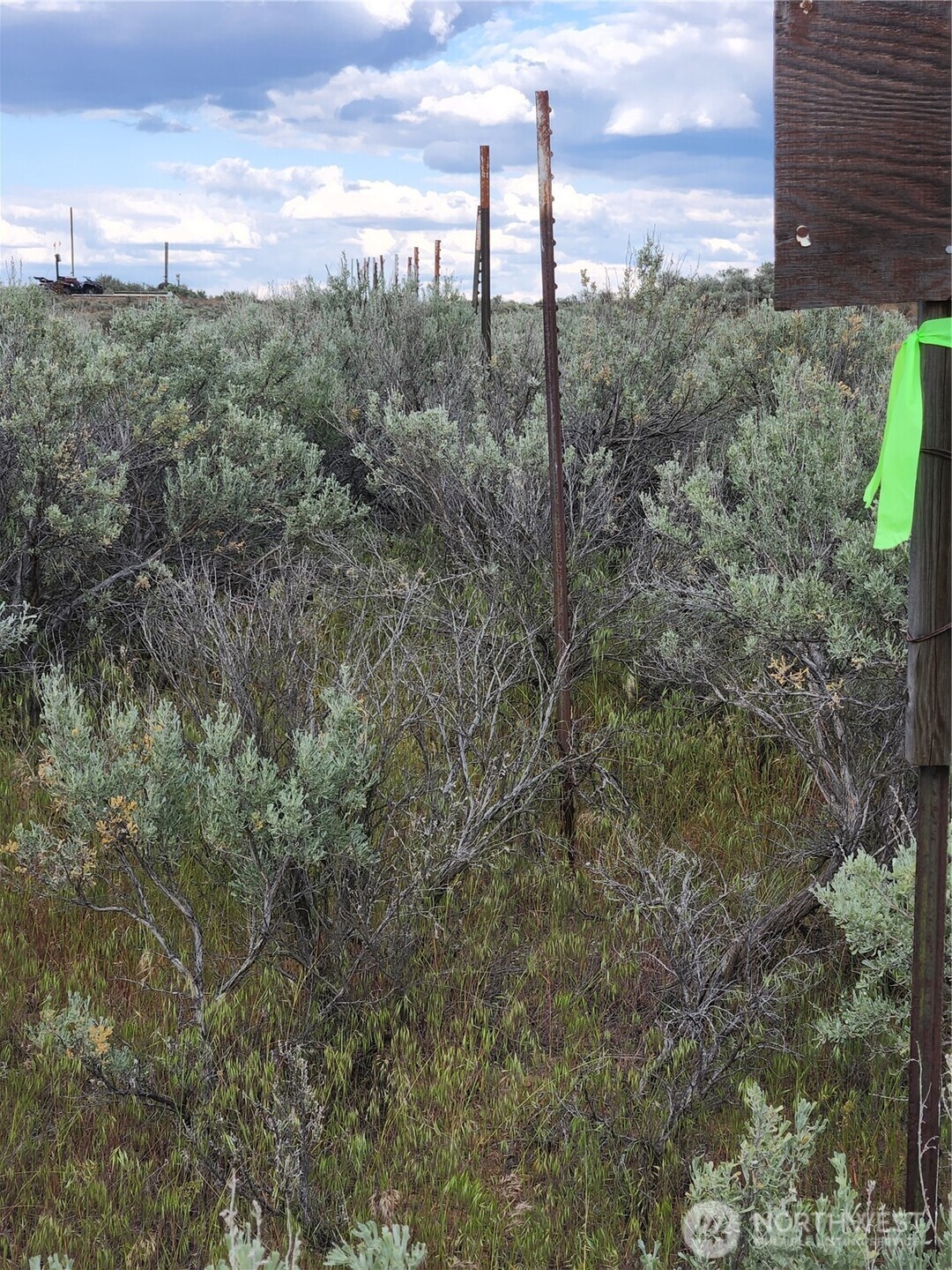 344 Oatman (lots 15 & 7) Place Property Photo 31