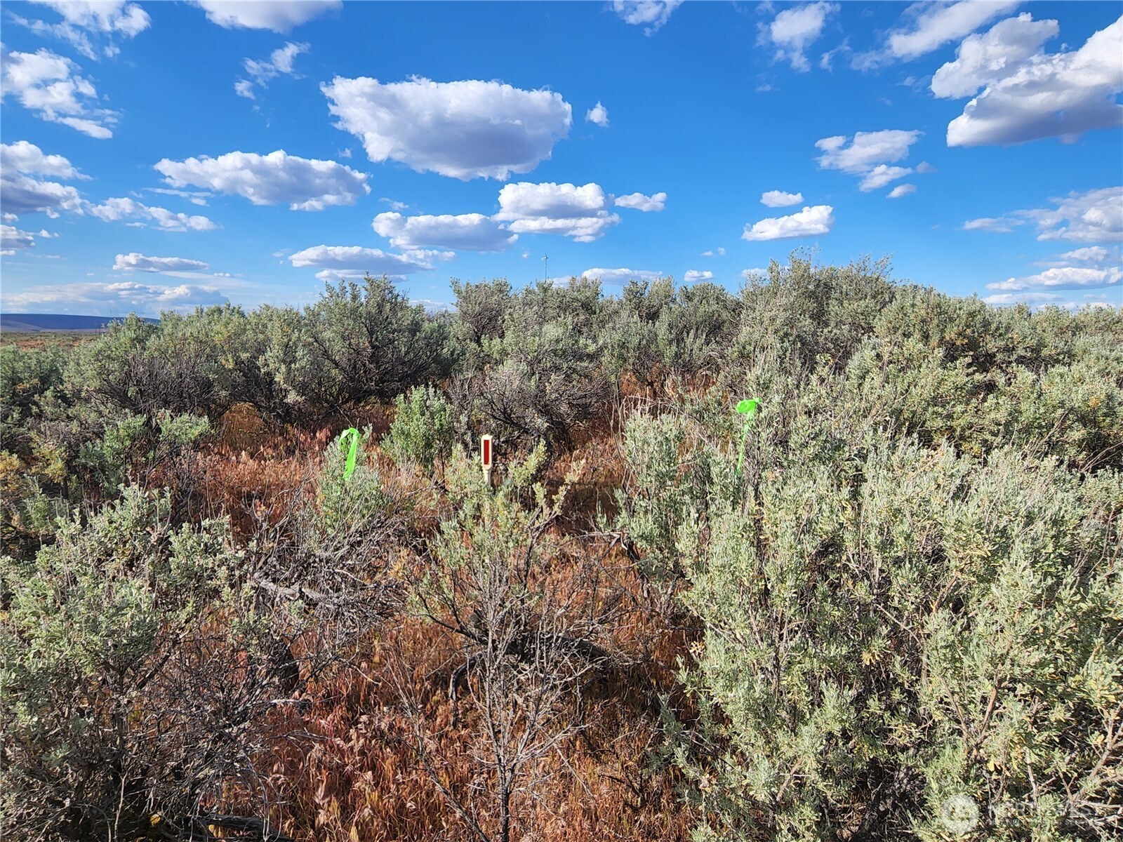 344 Oatman (lots 15 & 7) Place Property Photo 35
