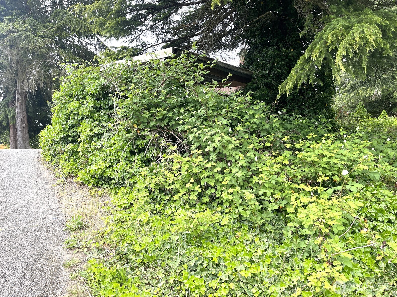 1303 Times Avenue Property Photo