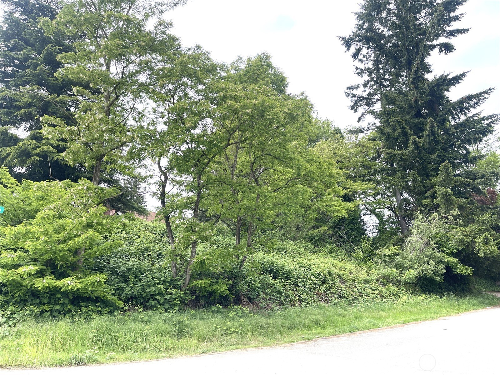 1309 Times Avenue Property Photo