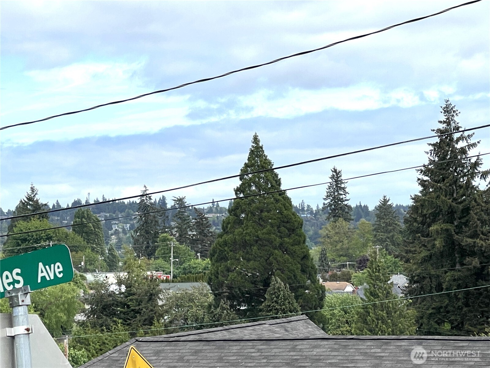 1309 Times Avenue Property Photo 2