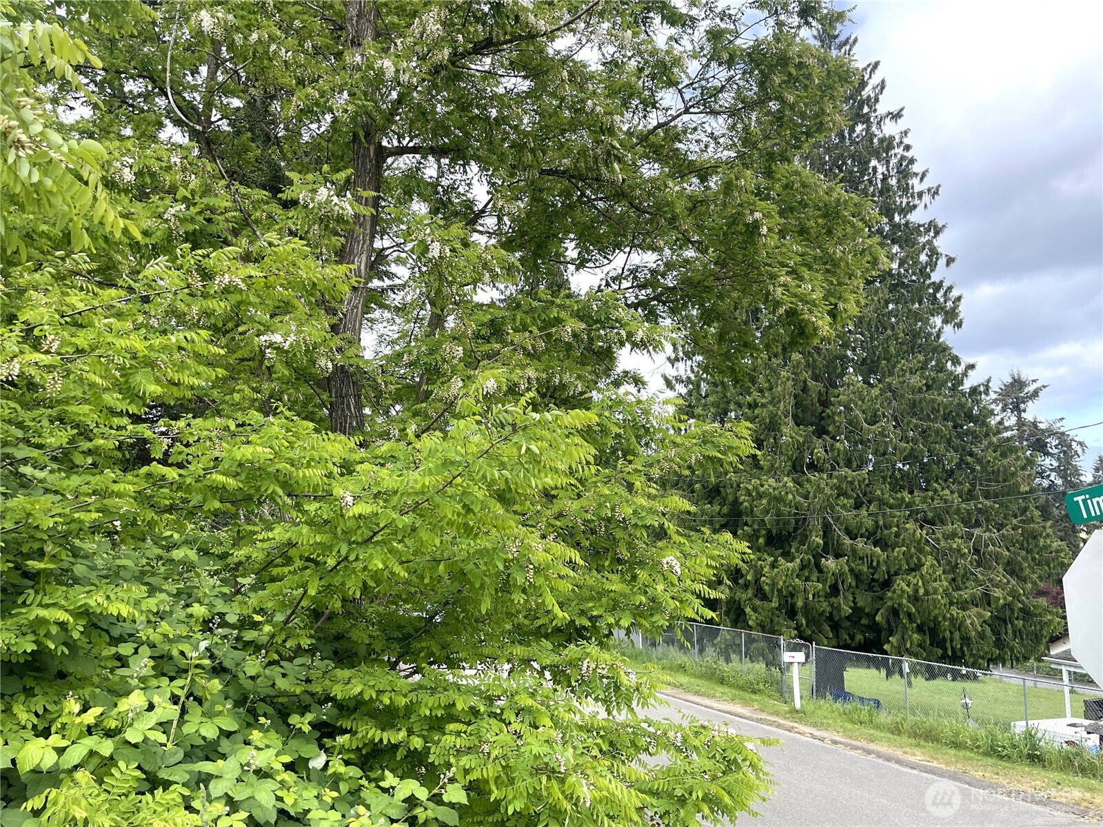 1309 Times Avenue Property Photo 4