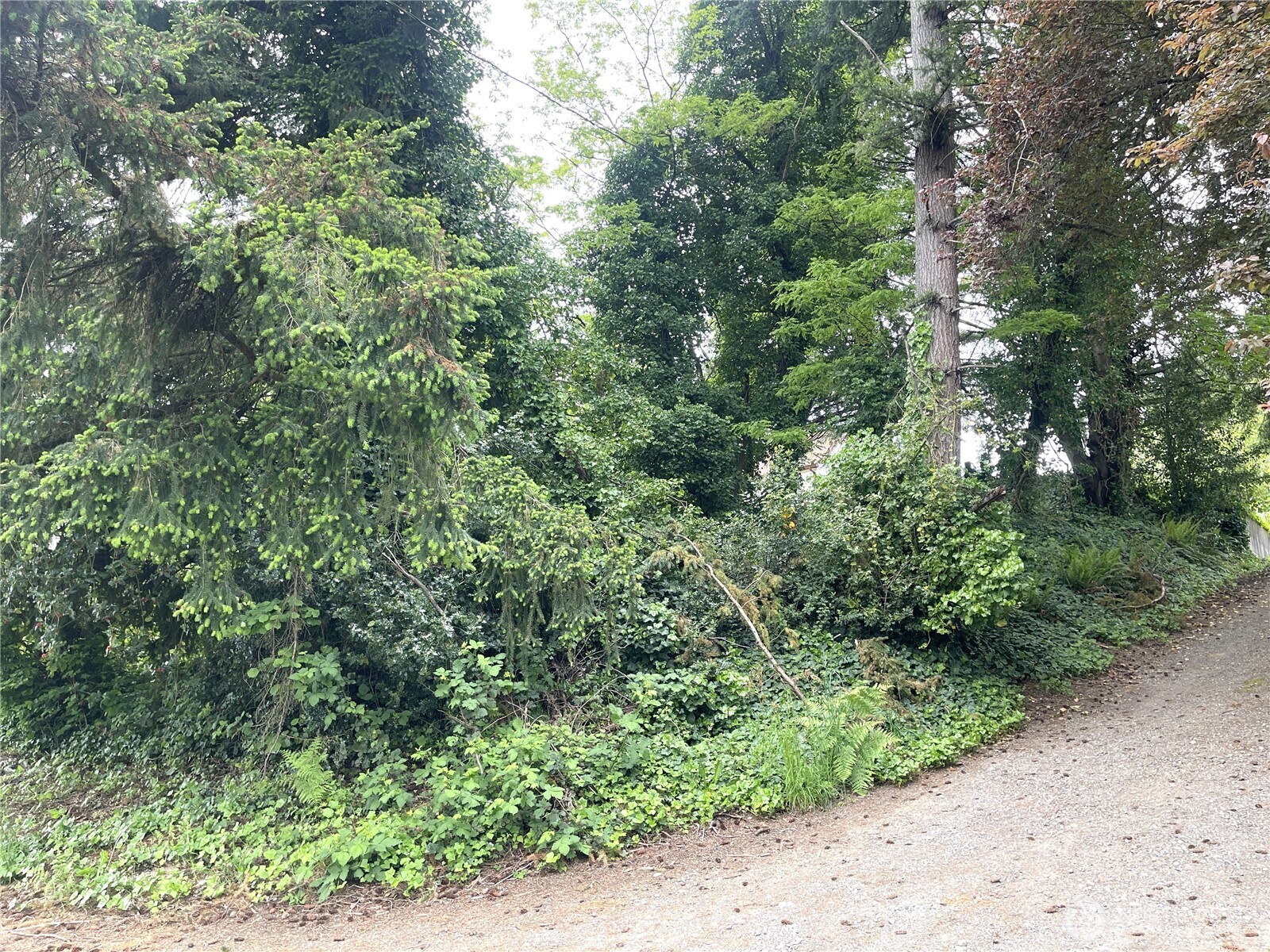 1309 Times Avenue Property Photo 6