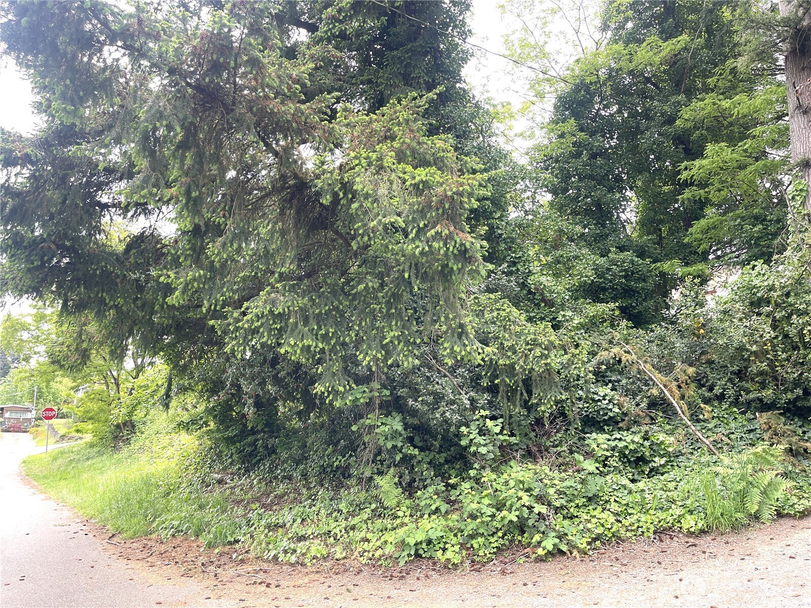 1309 Times Avenue Property Photo 8