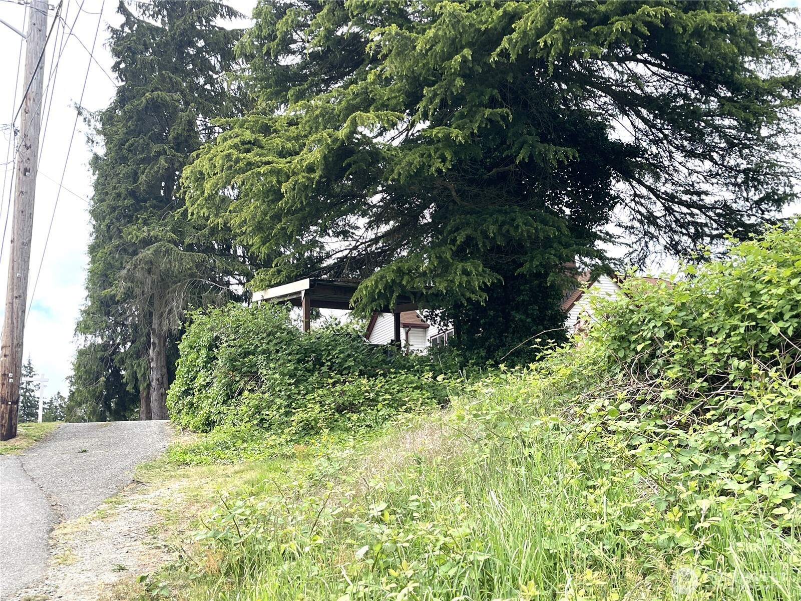 1309 Times Avenue Property Photo 10