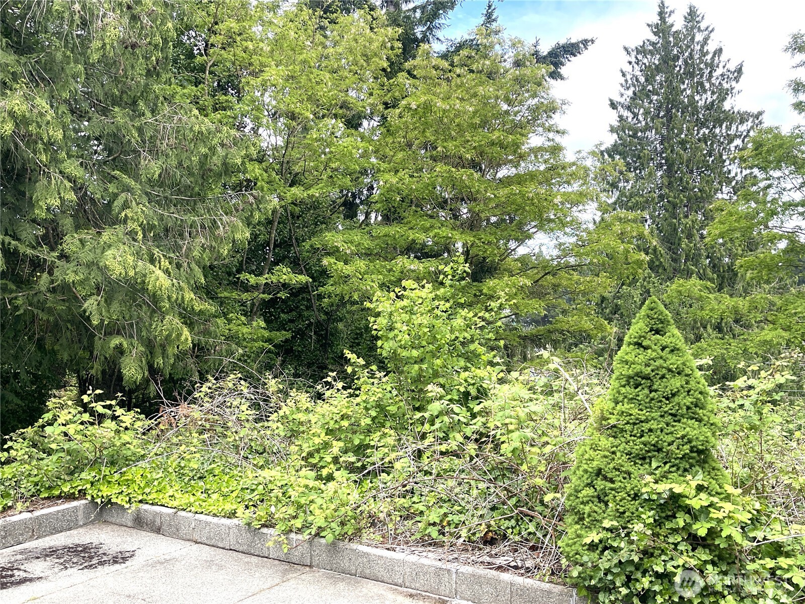 1309 Times Avenue Property Photo 12