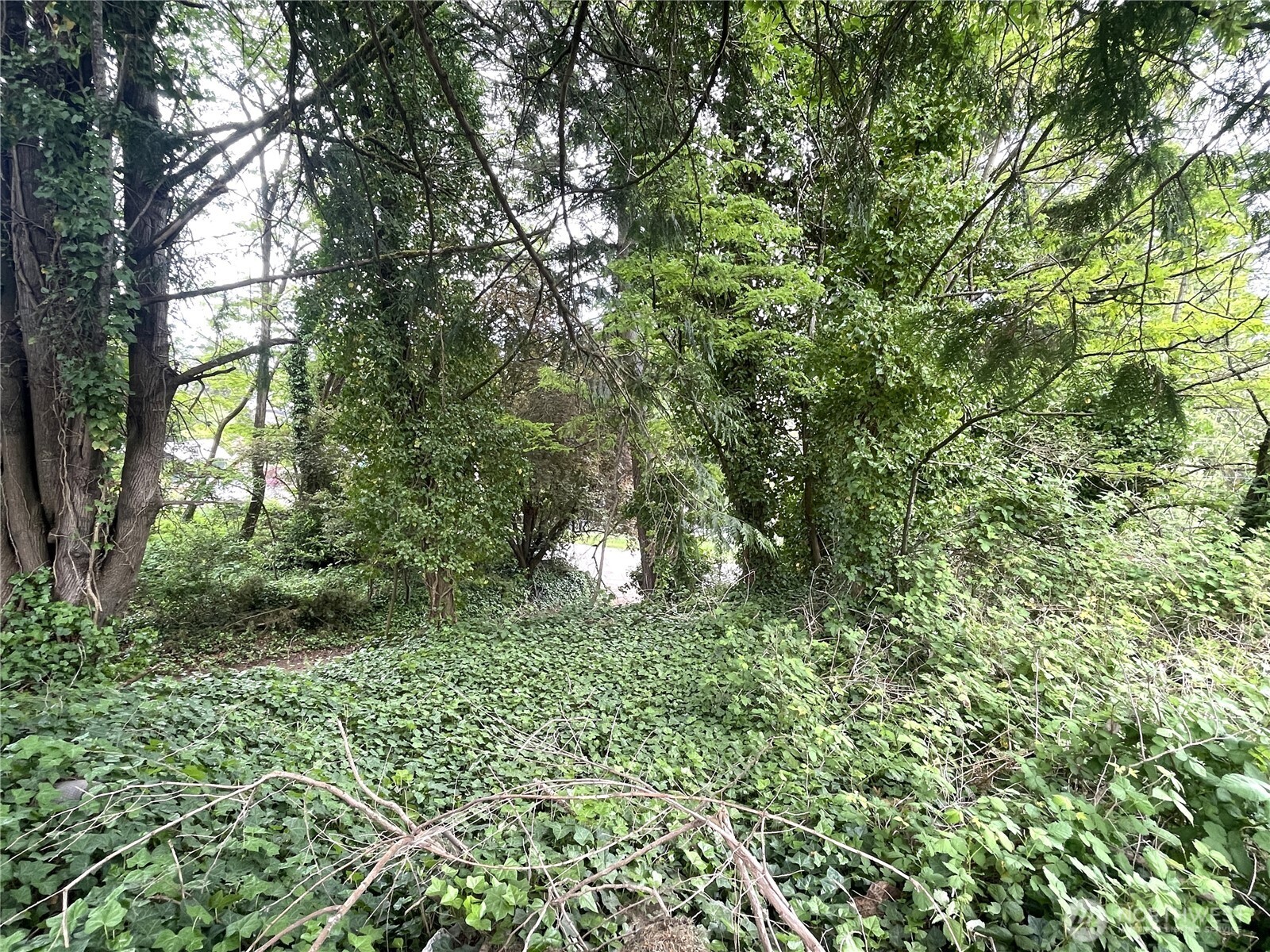 1309 Times Avenue Property Photo 17
