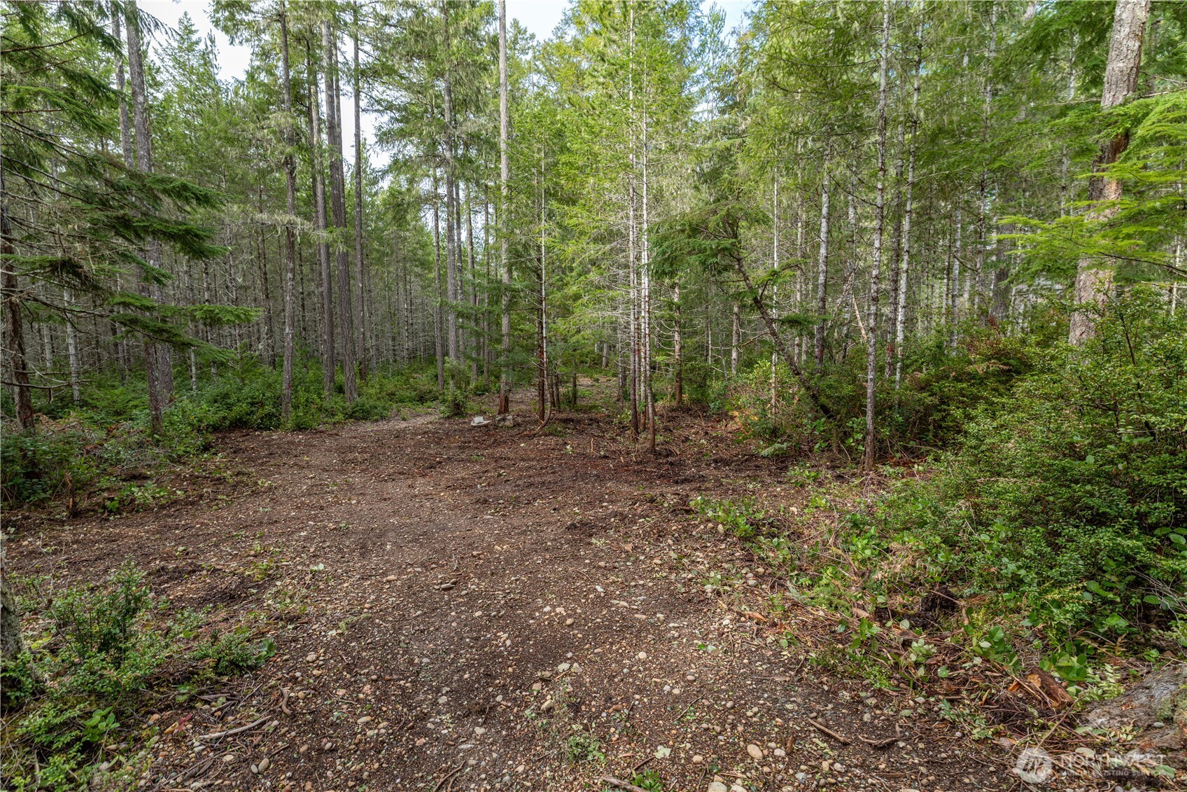 230 E Blackberry Lane Property Photo 3