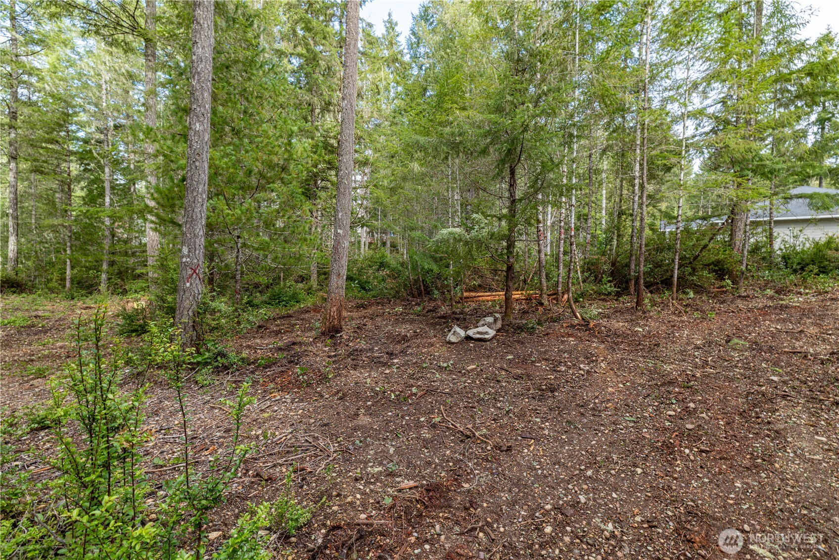 230 E Blackberry Lane Property Photo 5