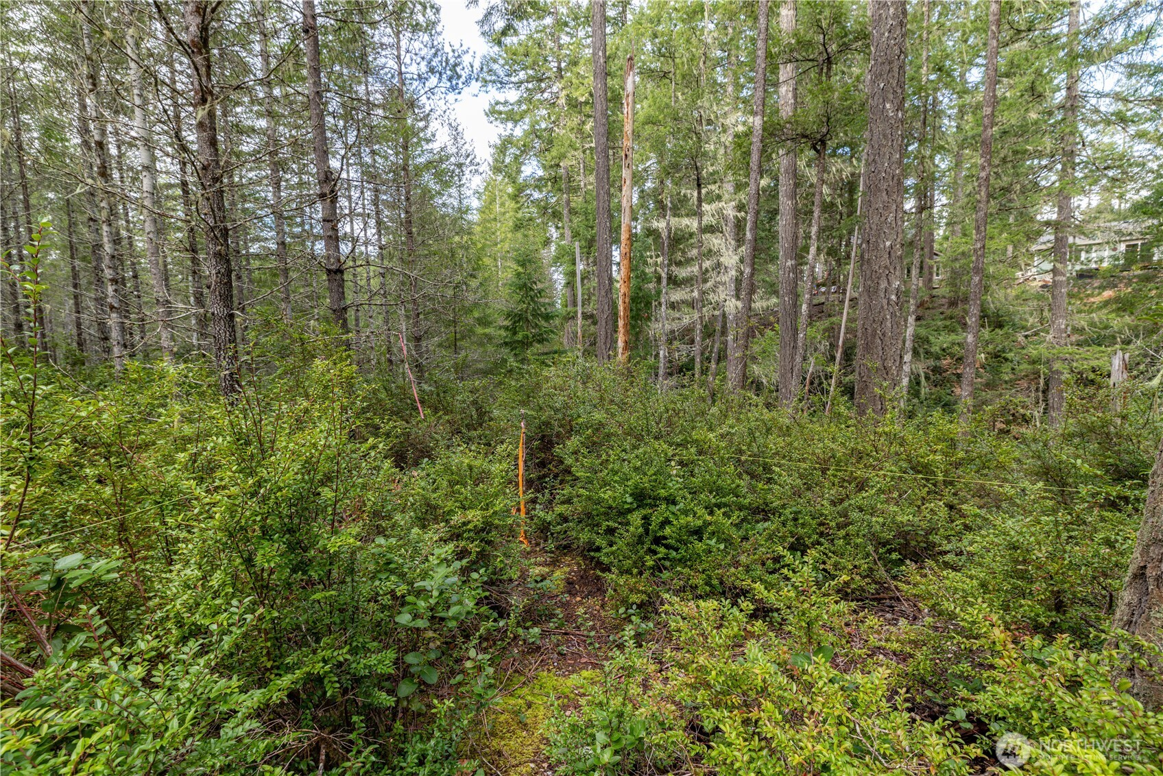 230 E Blackberry Lane Property Photo 7