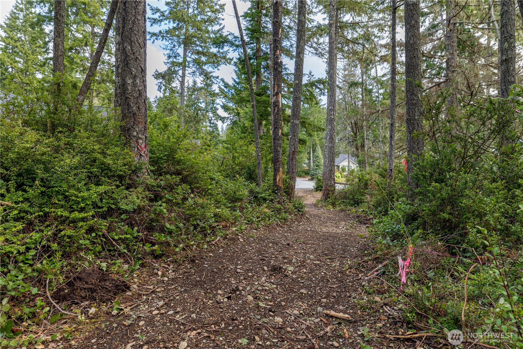 230 E Blackberry Lane Property Photo 8
