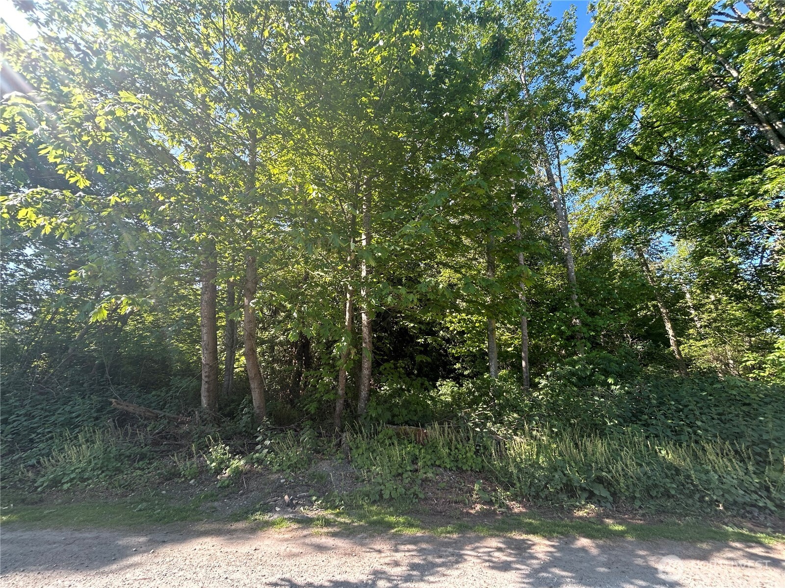 57 A Saratoga Drive Property Photo 1