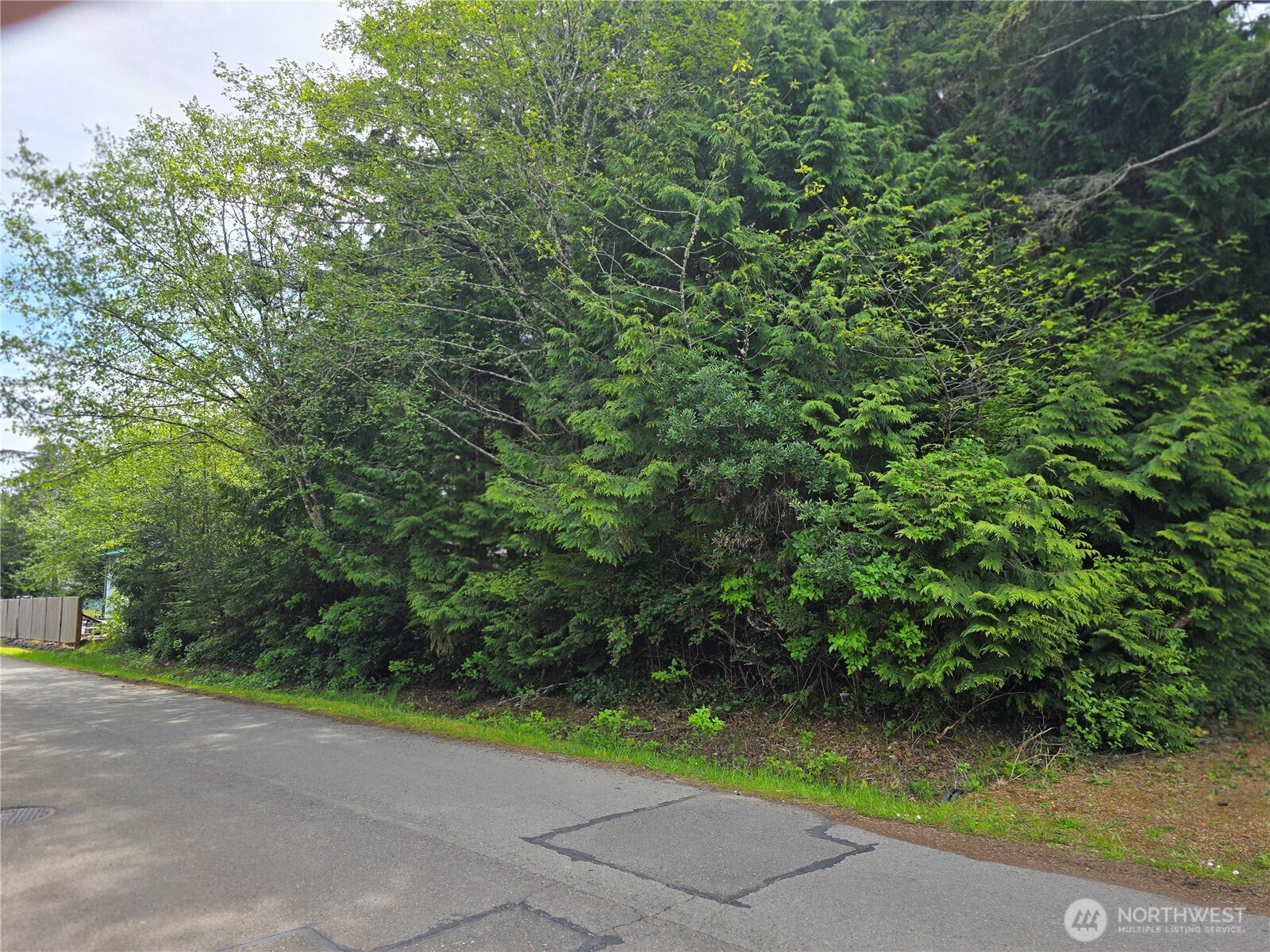0 Paradise Ln Property Photo