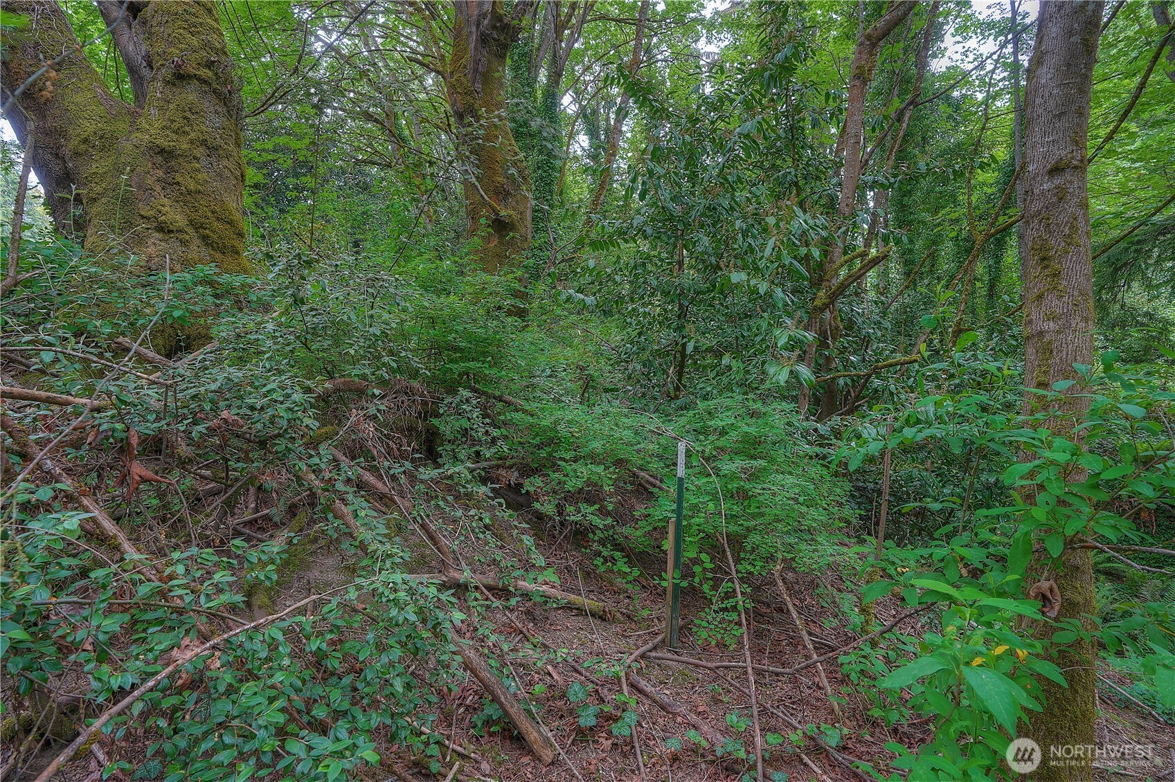 0 Agnes Road Property Photo 11