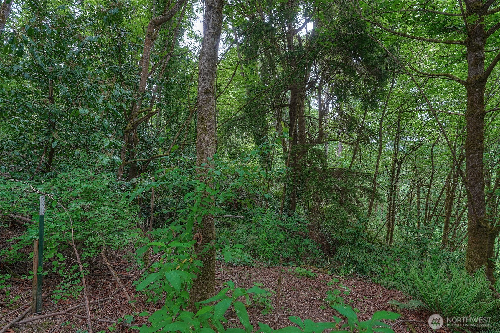 0 Agnes Road Property Photo 12
