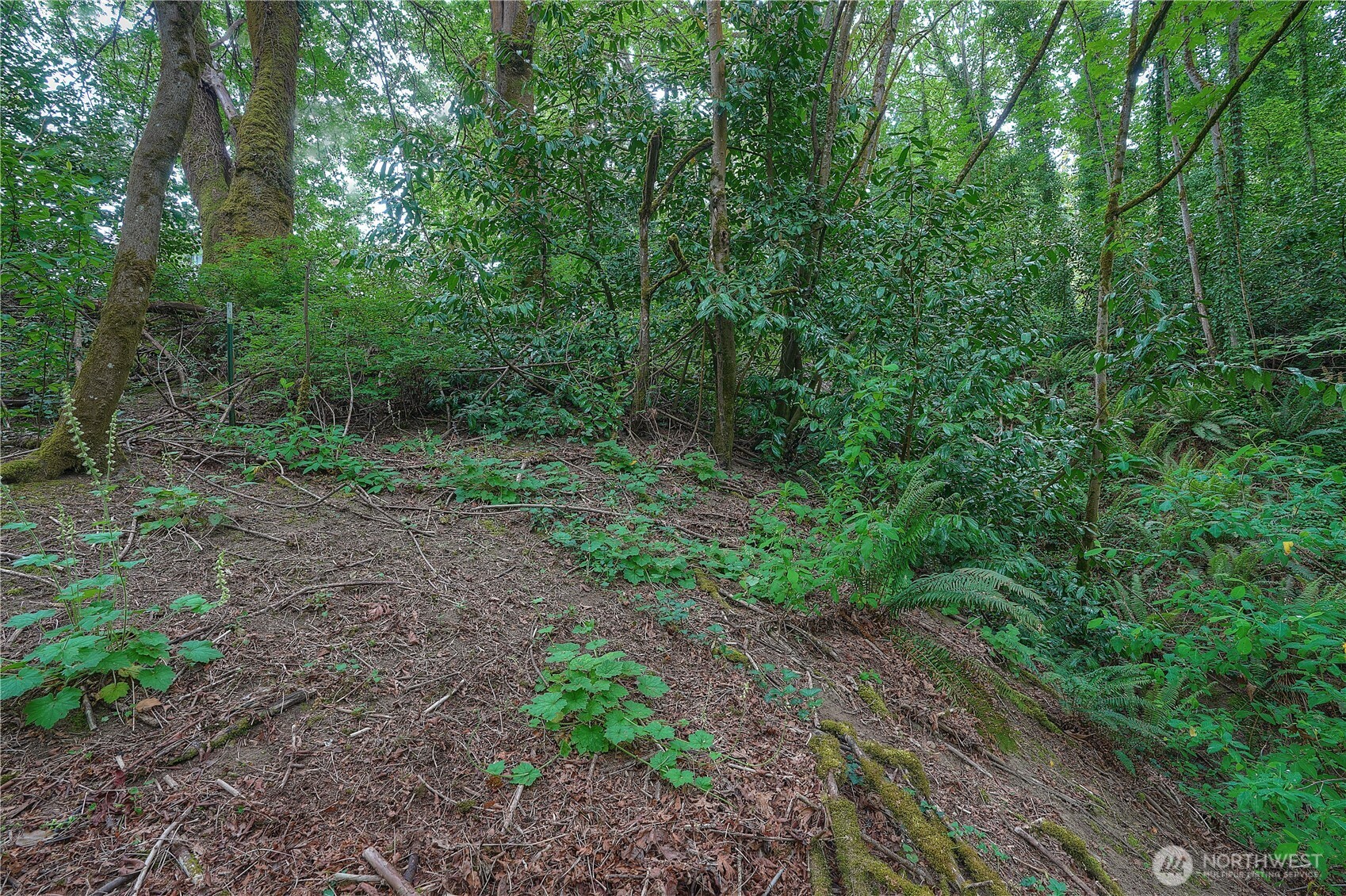 0 Agnes Road Property Photo 14