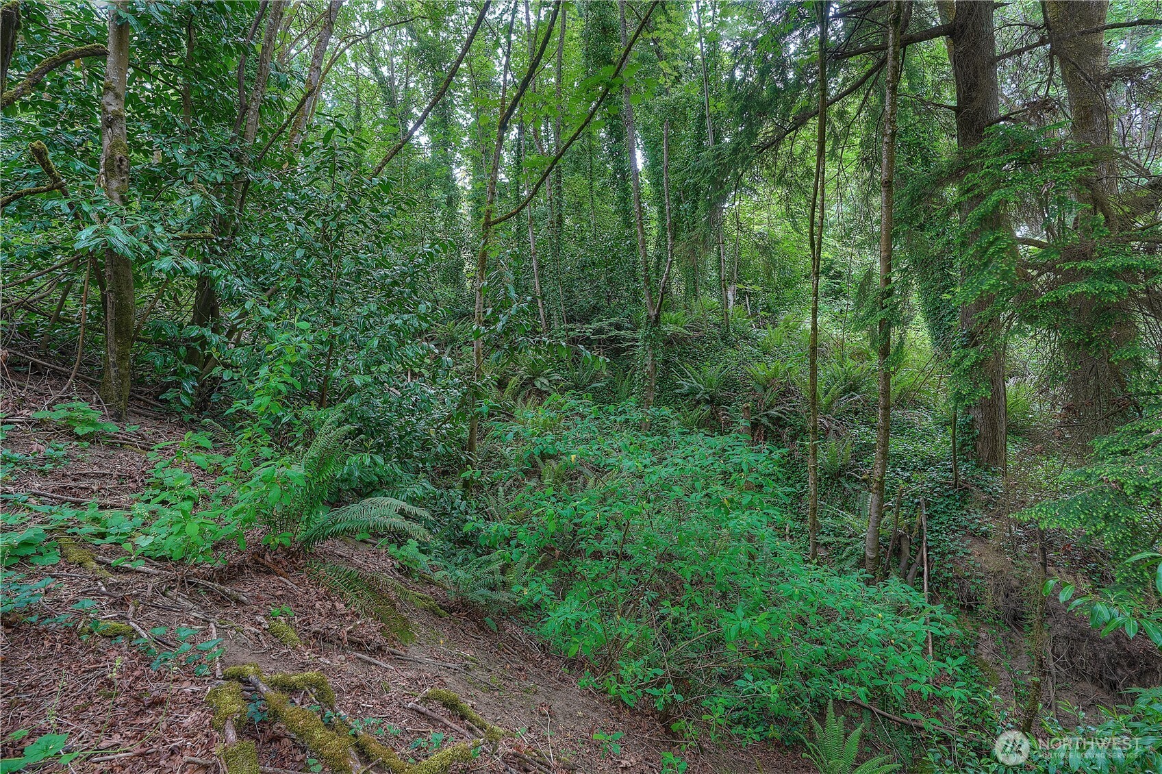 0 Agnes Road Property Photo 15