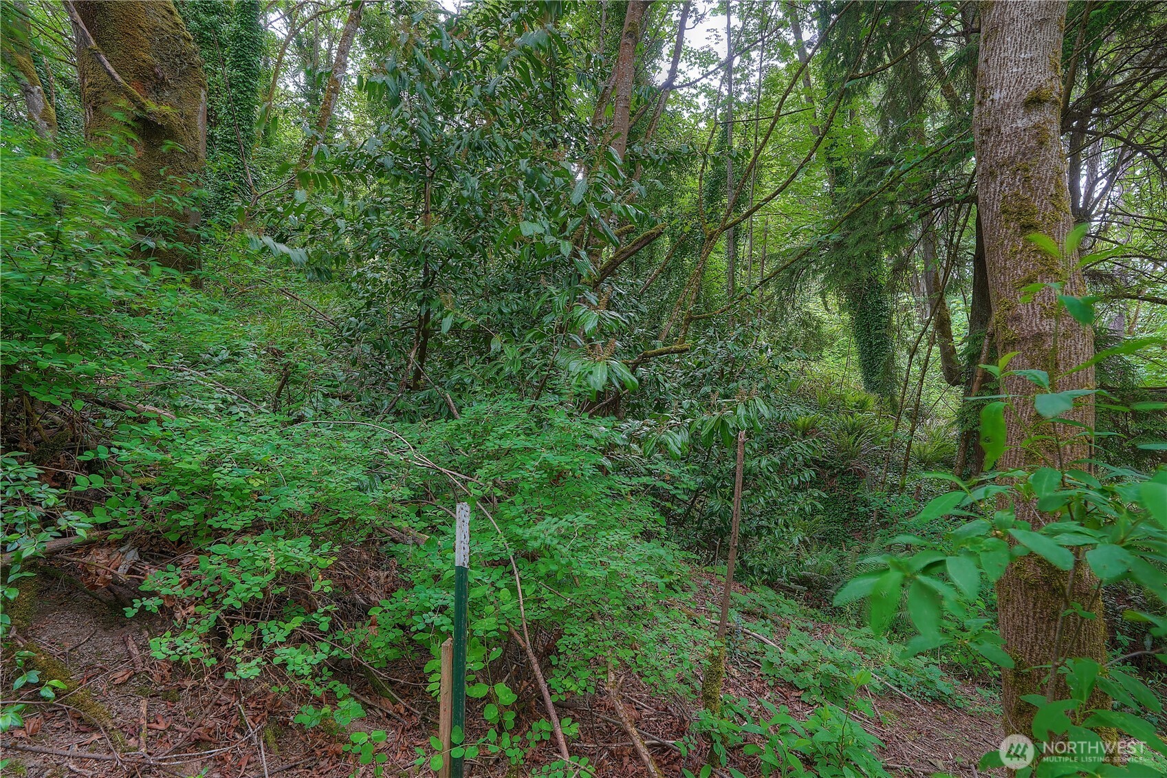 0 Agnes Road Property Photo 16