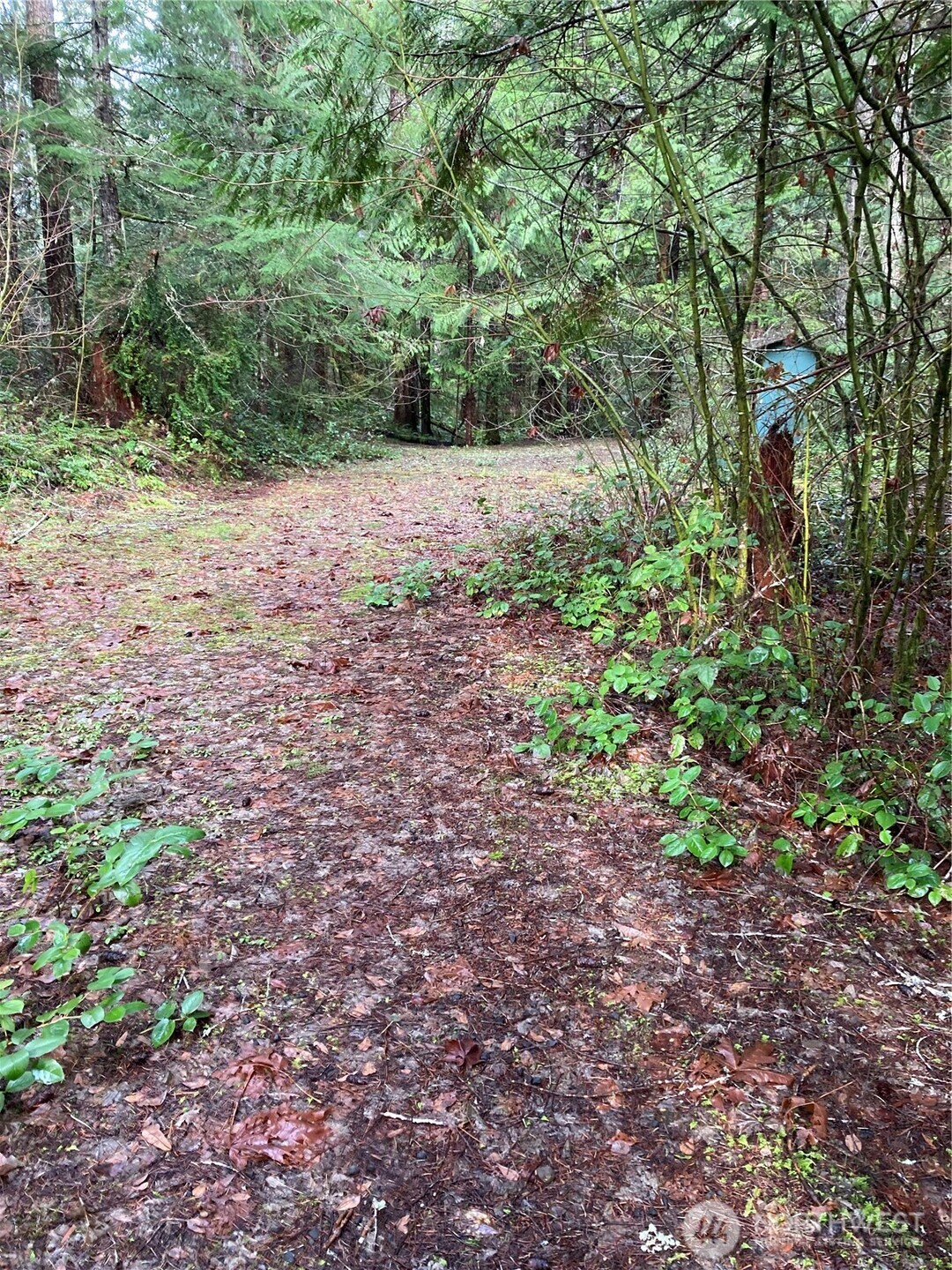 231 N Goldeneye Drive Property Photo 1
