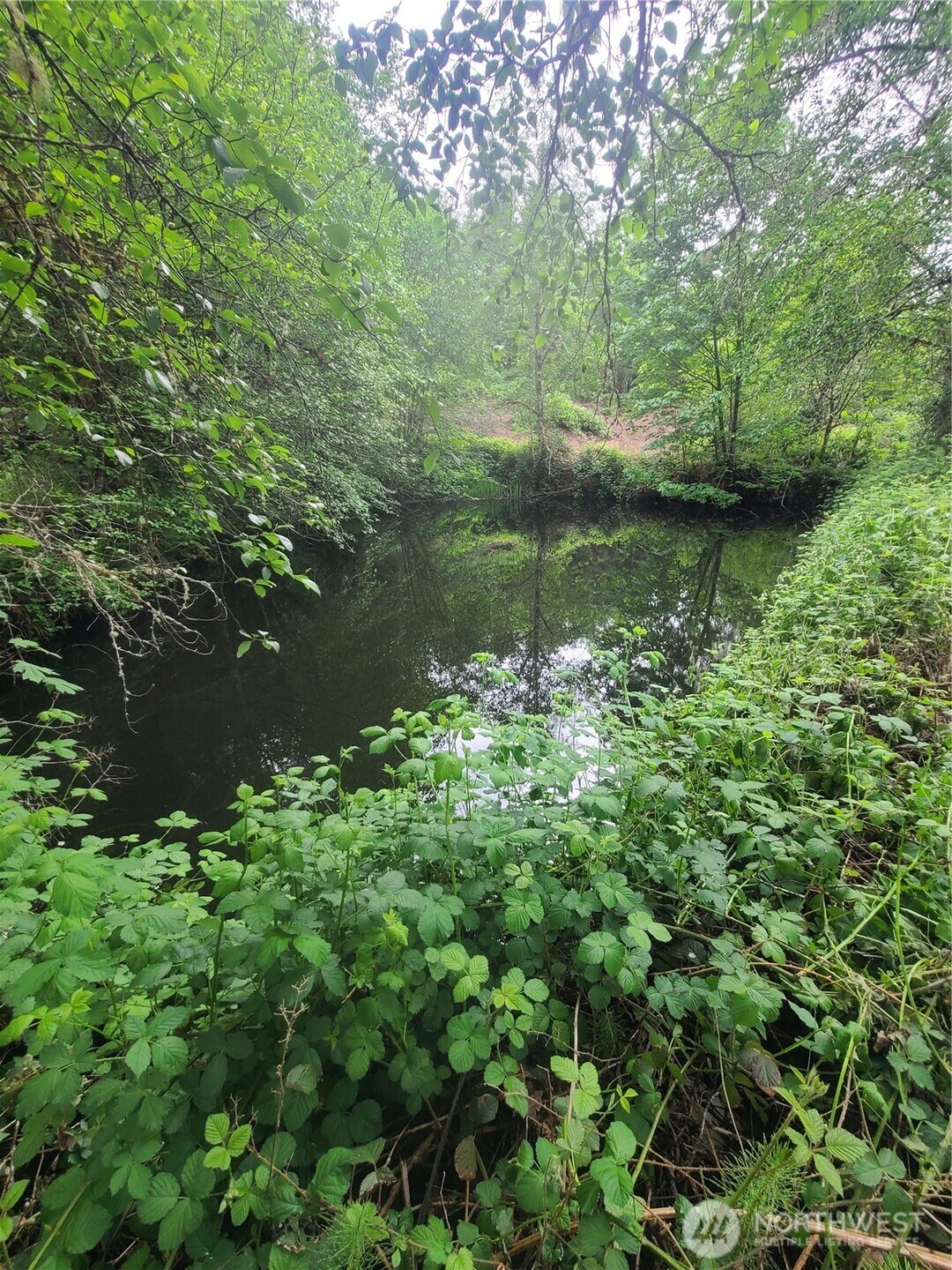 300 Dahlman Road Property Photo