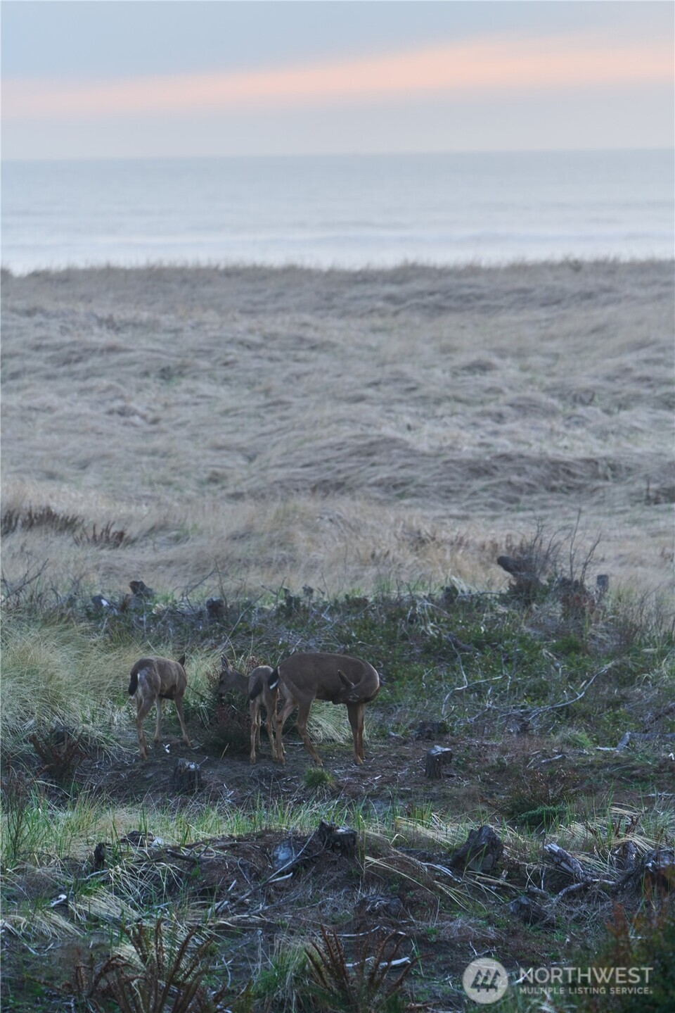 27208 J Lane Property Photo 35