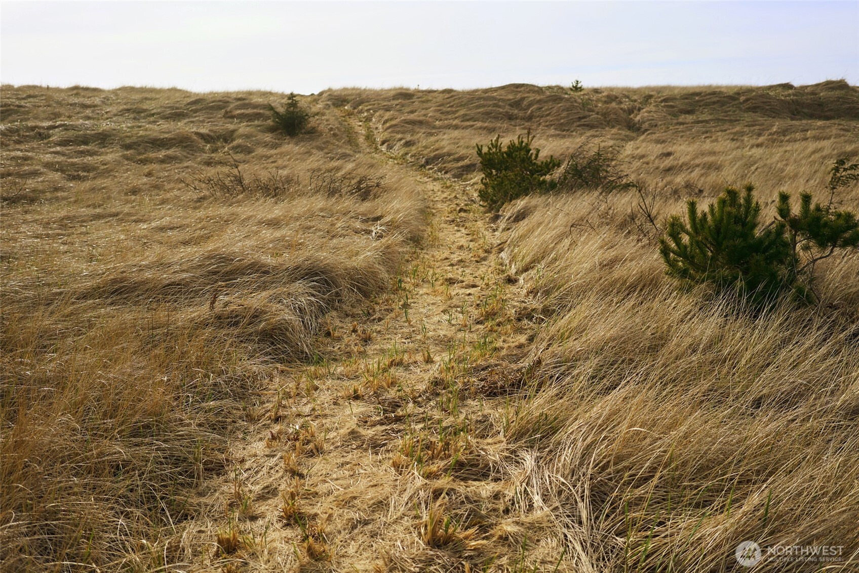 27208 J Lane Property Photo 39