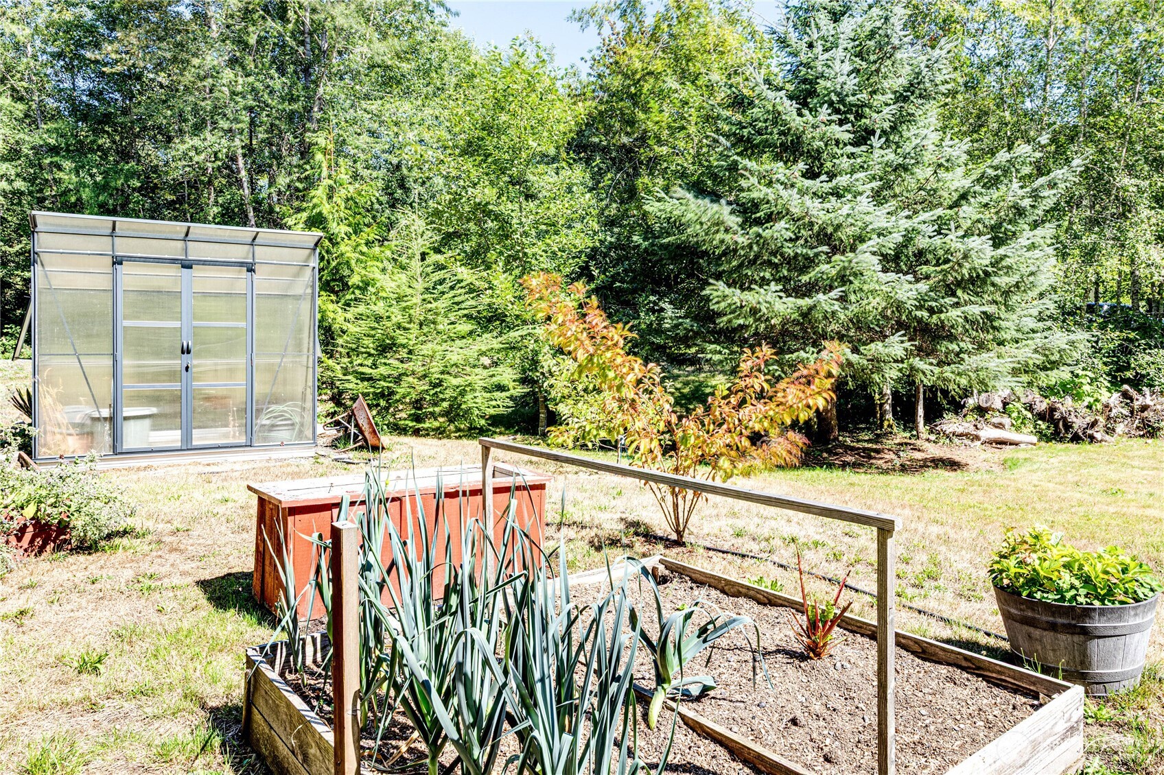 51 Sunflower Road Property Photo 29