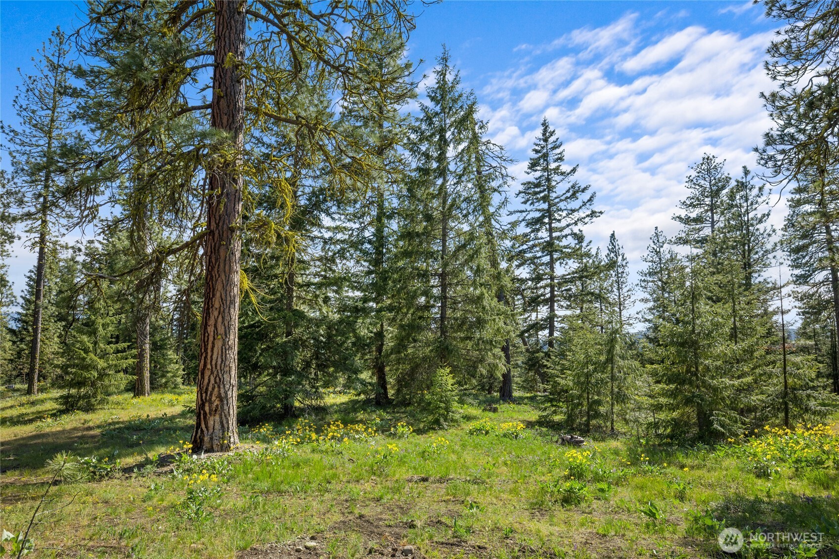 16 Wanawish Loop Property Photo 1