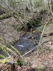 520 N Duckabush Drive Property Photo 12