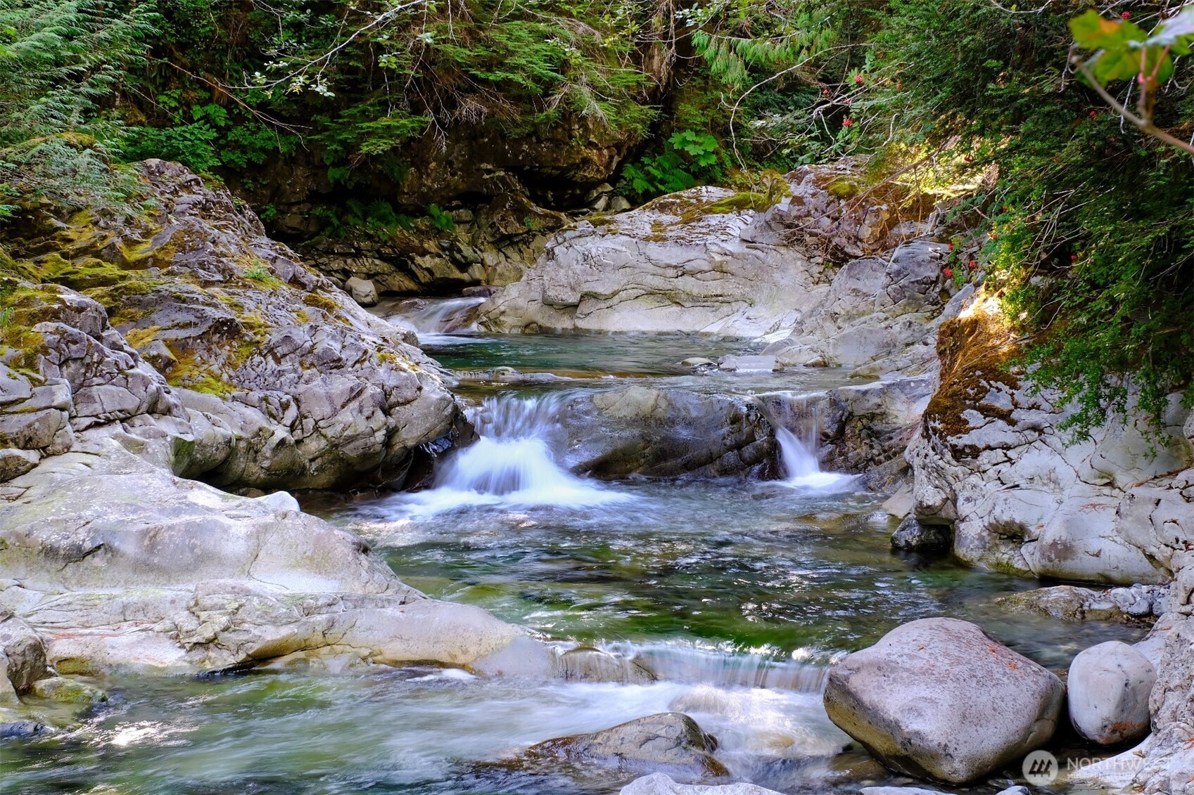0 Money Creek Road Property Photo 1