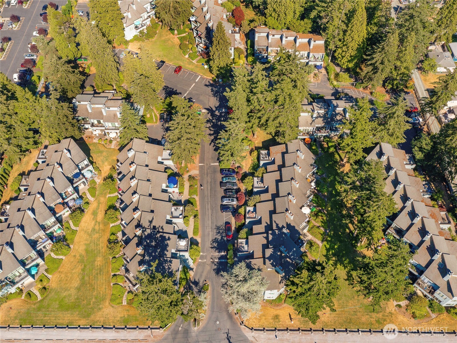 7806 Birch Bay Dr 1007 Property Photo 37