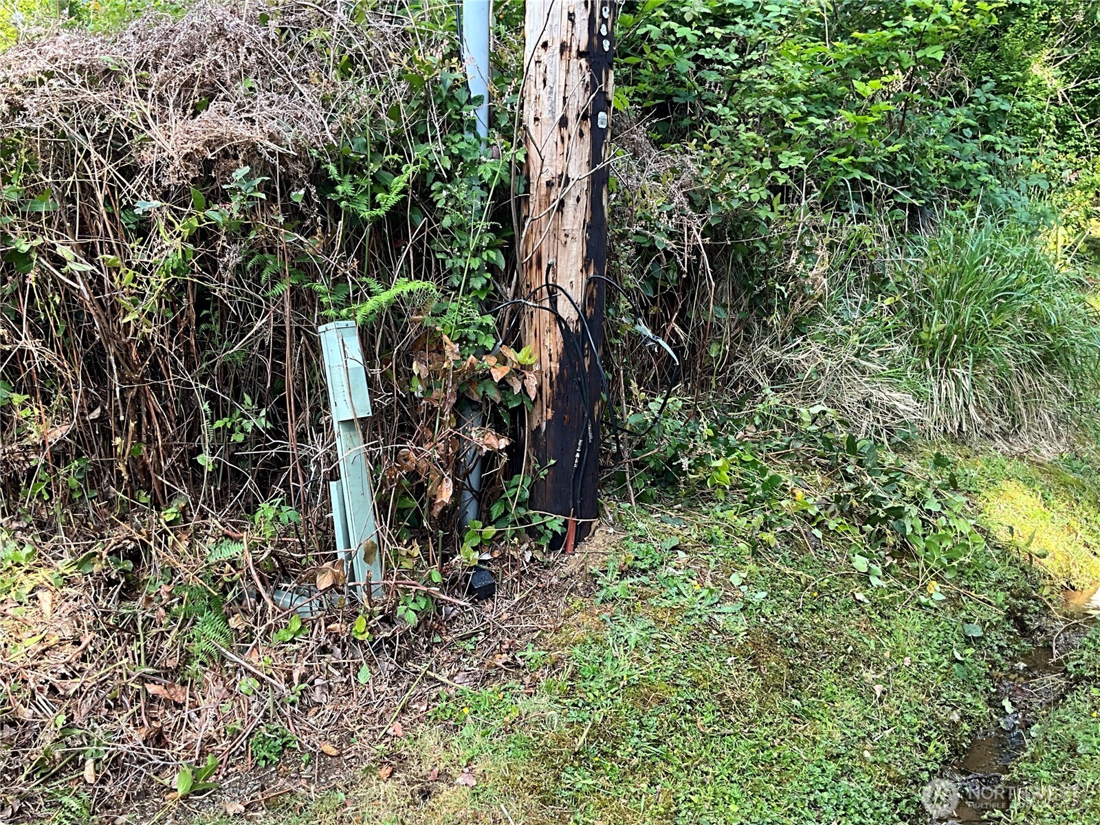 0 Grays Harbor Boulevard Property Photo 5