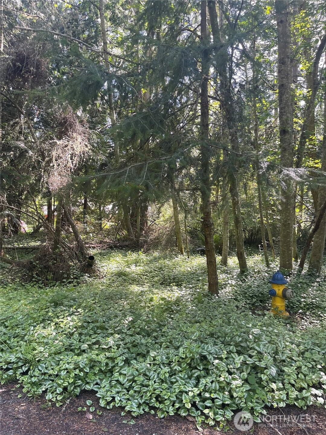 1321 54th Street Property Photo 2