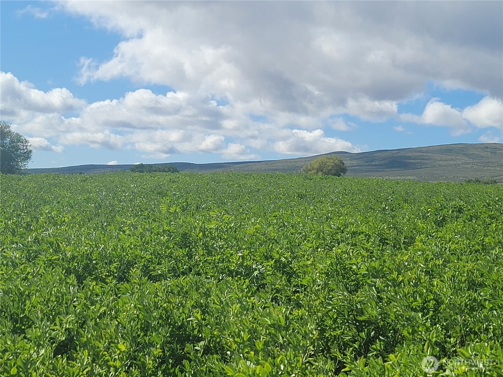 480 Kamiakin Road Property Photo 1