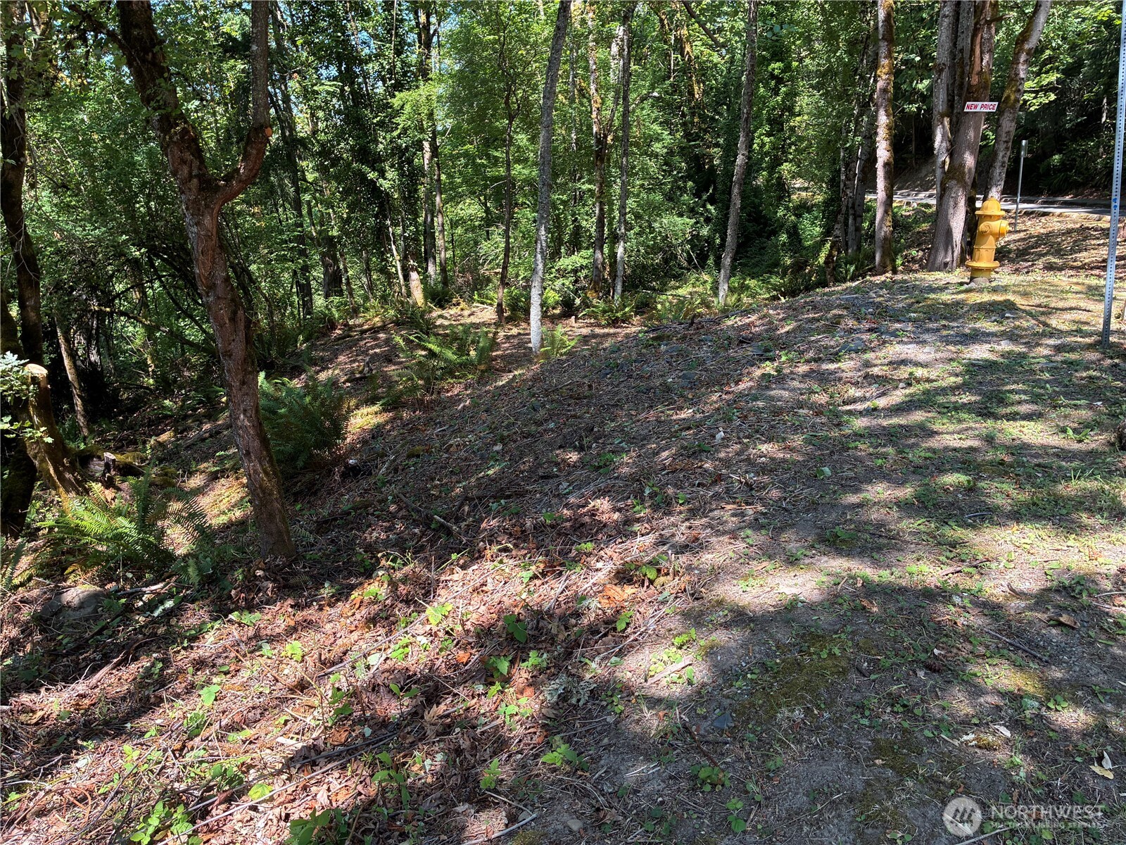 8 Xxx 136th Avenue Property Photo 8