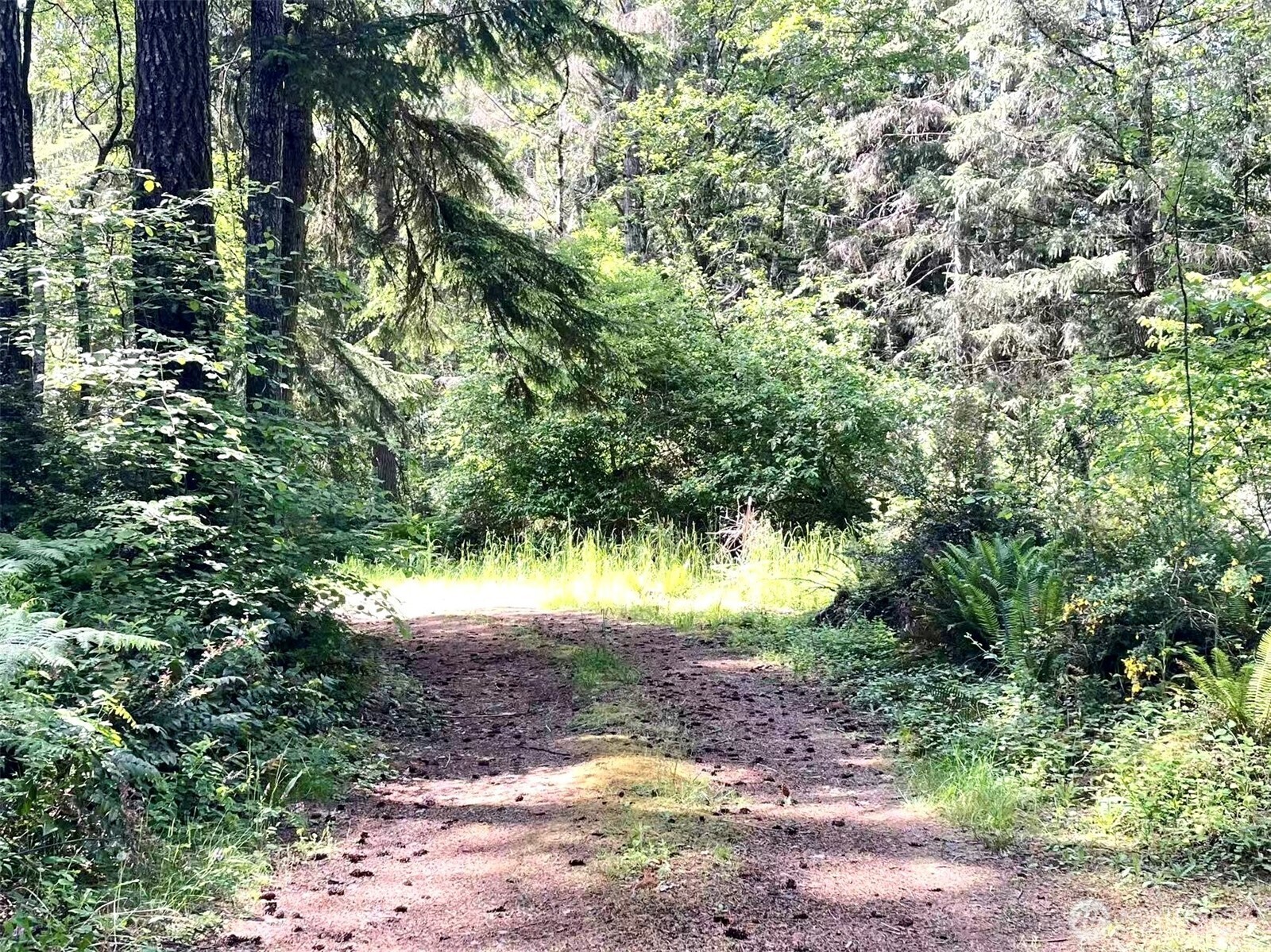 20 E Firwood Heights Lane Property Photo 30