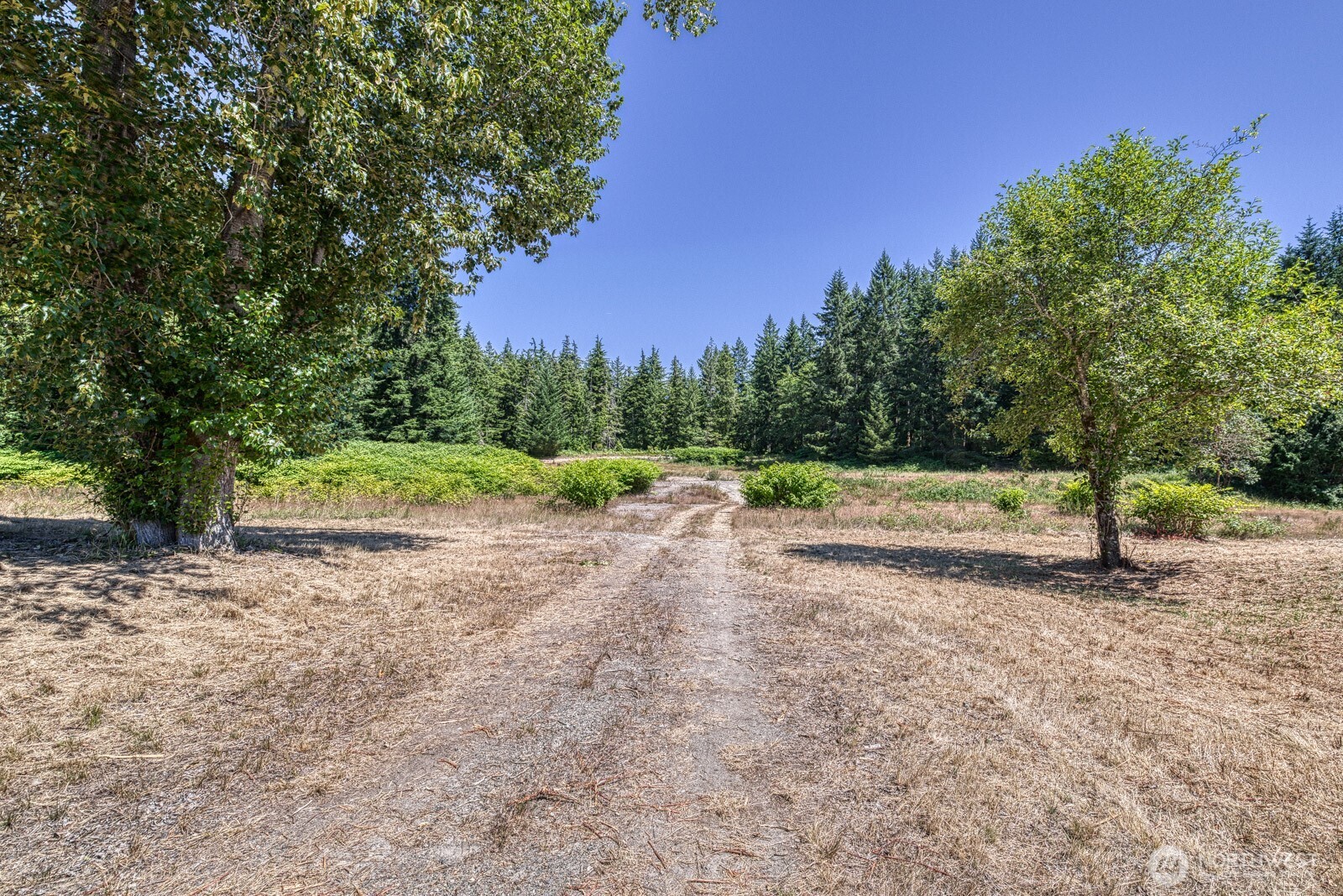 7 Crescent Valley Drive Property Photo 39